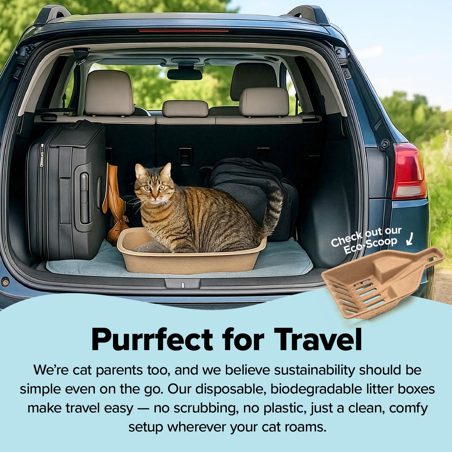 Kitty Sift (Set of 1 Litter Box & 5 Sifting Liners) Sustainable, Clean, Sifting, Disposable Cat Litter Box Kit - Jumbo, 6-Set Kit