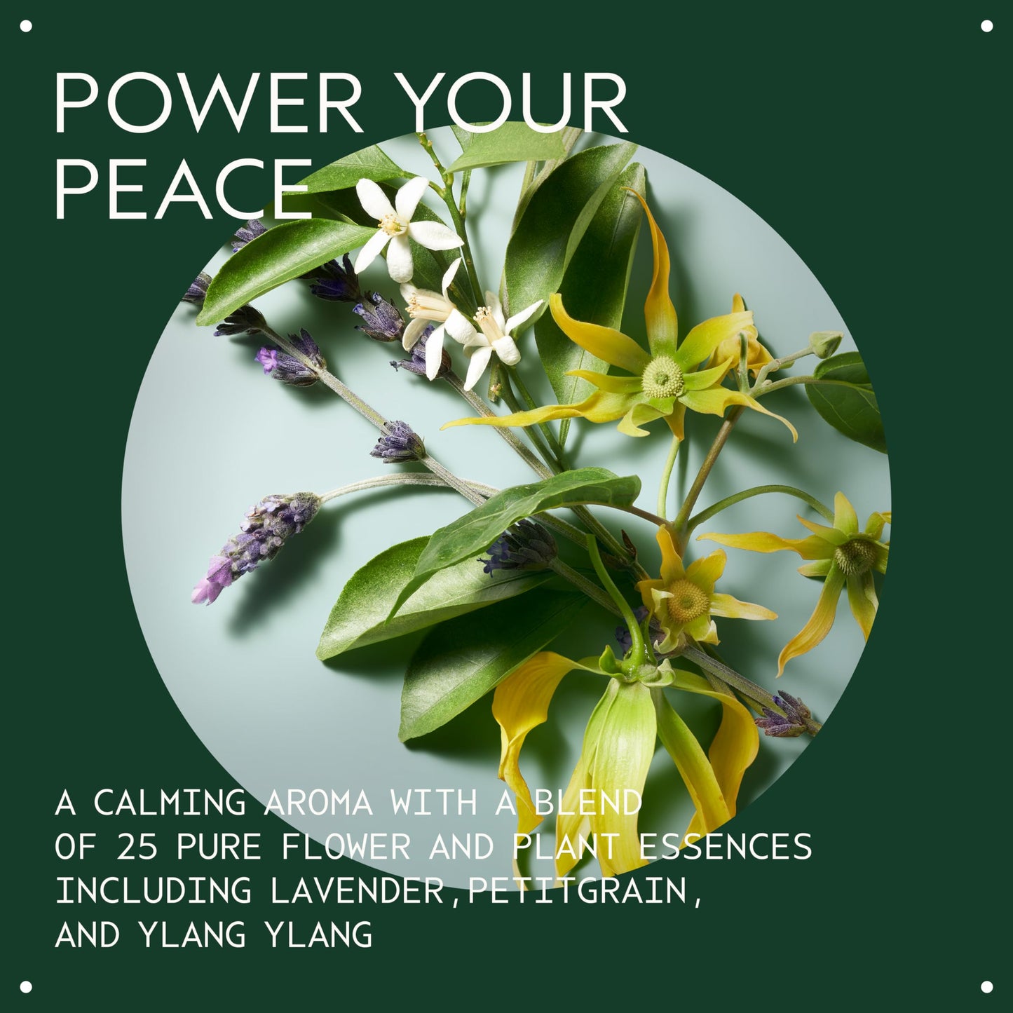 Aveda Heat Relief Thermal Protector & Conditioning Mist | Conditions Dry Hair | Adds Shine | Heat Protection | 97% Naturally Derived | Iconic Shampure Aroma, 100ml