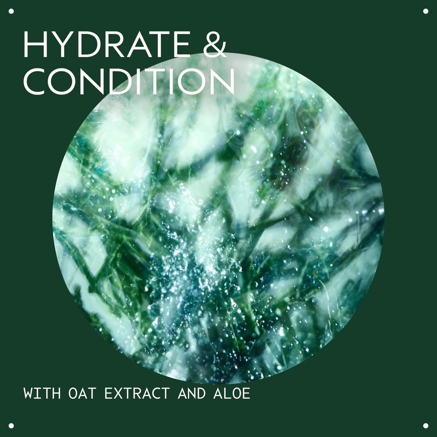 Aveda Botanical Kinetics All-Sensitive Lotion | Daily Moisturizer for Sensitive Skin | Fragrance-Free, 150ml