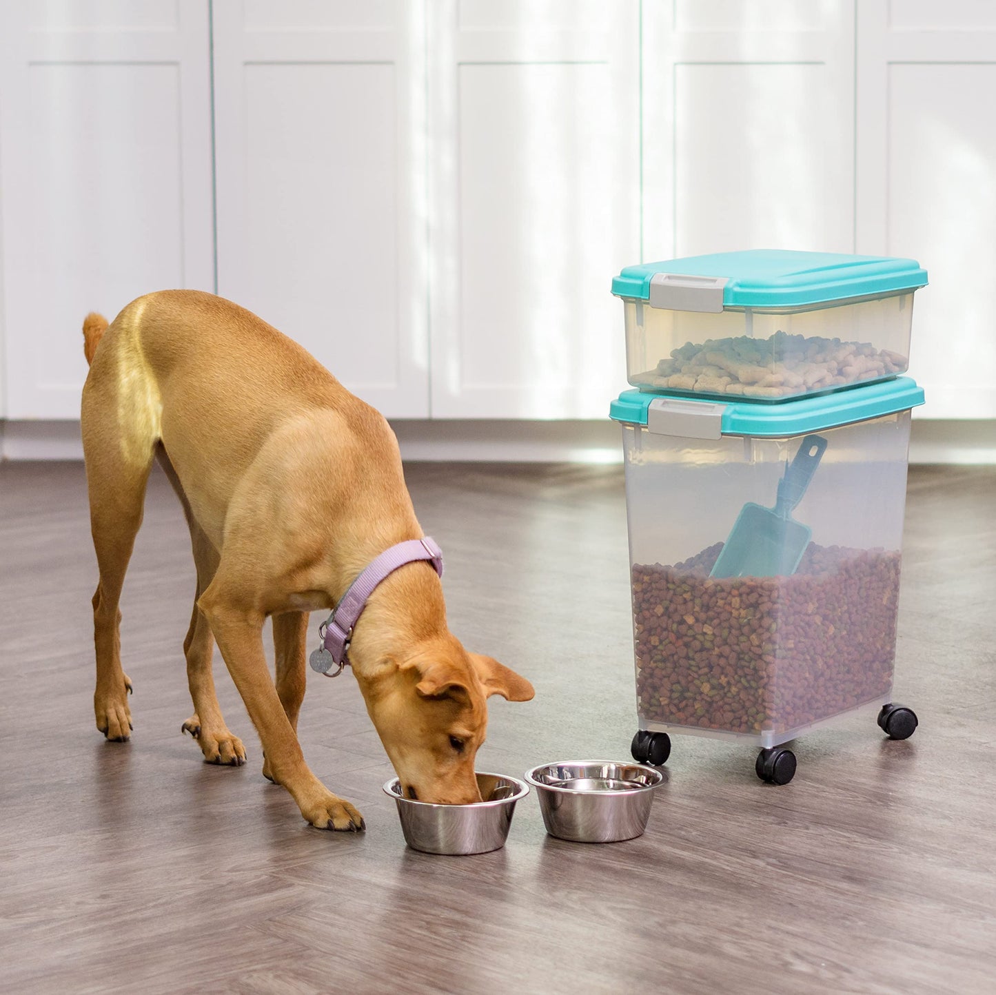 IRIS USA Airtight Dog Food Storage Container Combo, 30 lb + 11 lb Stackable Pet Food Bins with Wheels, Cat Food & Dog Treat Storage, BPA Free, Includes 2-Cup/450 g Scoop, Seafoam Blue