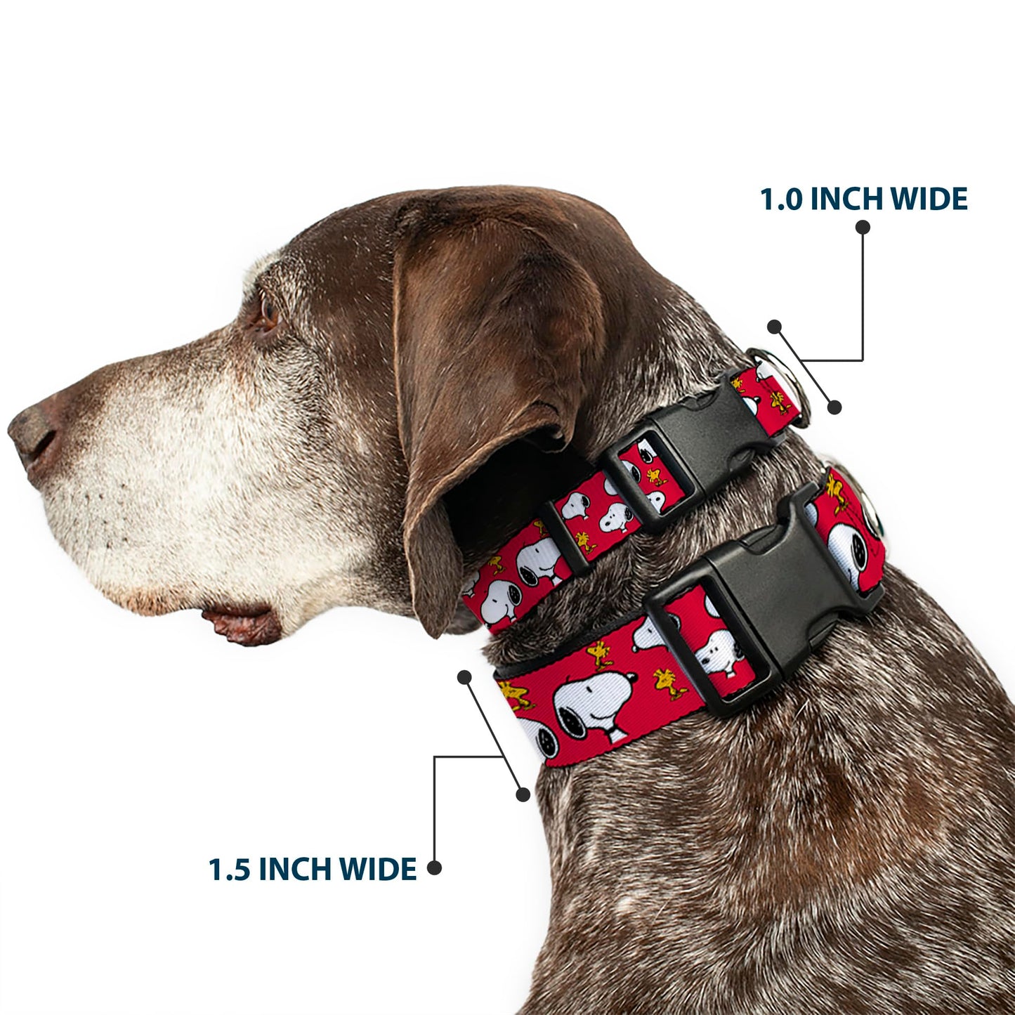 Peanuts Worldwide LLC Pet Collar, Dog Collar Plastic Buckle, Peanuts Snoopy and Woodstock Poses Scattered Red, 15 to 24 Inches 1.0 Inch Wide