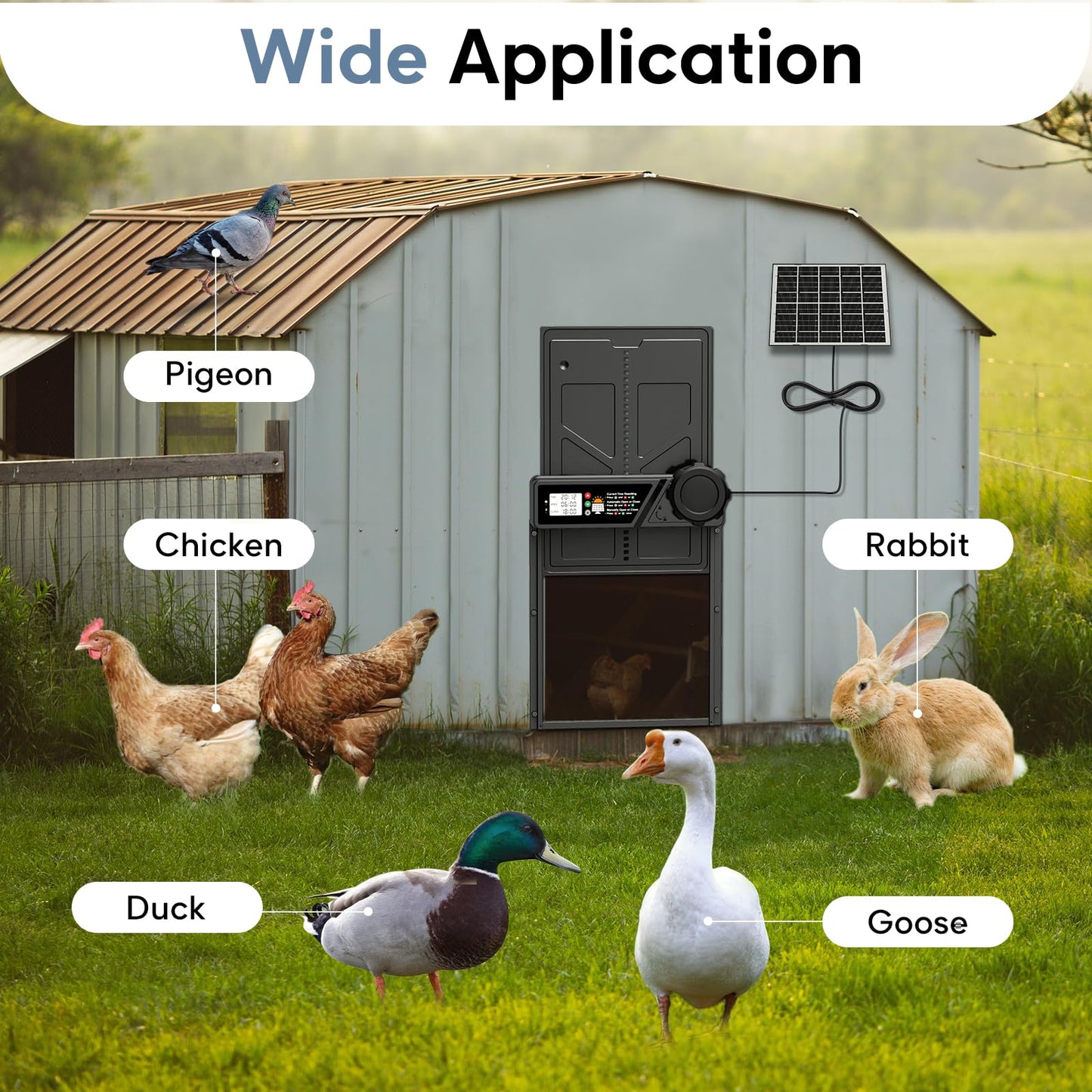 Large Automatic Chicken Coop Door Solar Powered, Aluminum Solar Chicken Coop Door with Timer Mode, Premium 7W Solar Panel & Large LCD Display, Advanced Anti-Pinch Design, Range 20M Remote Control