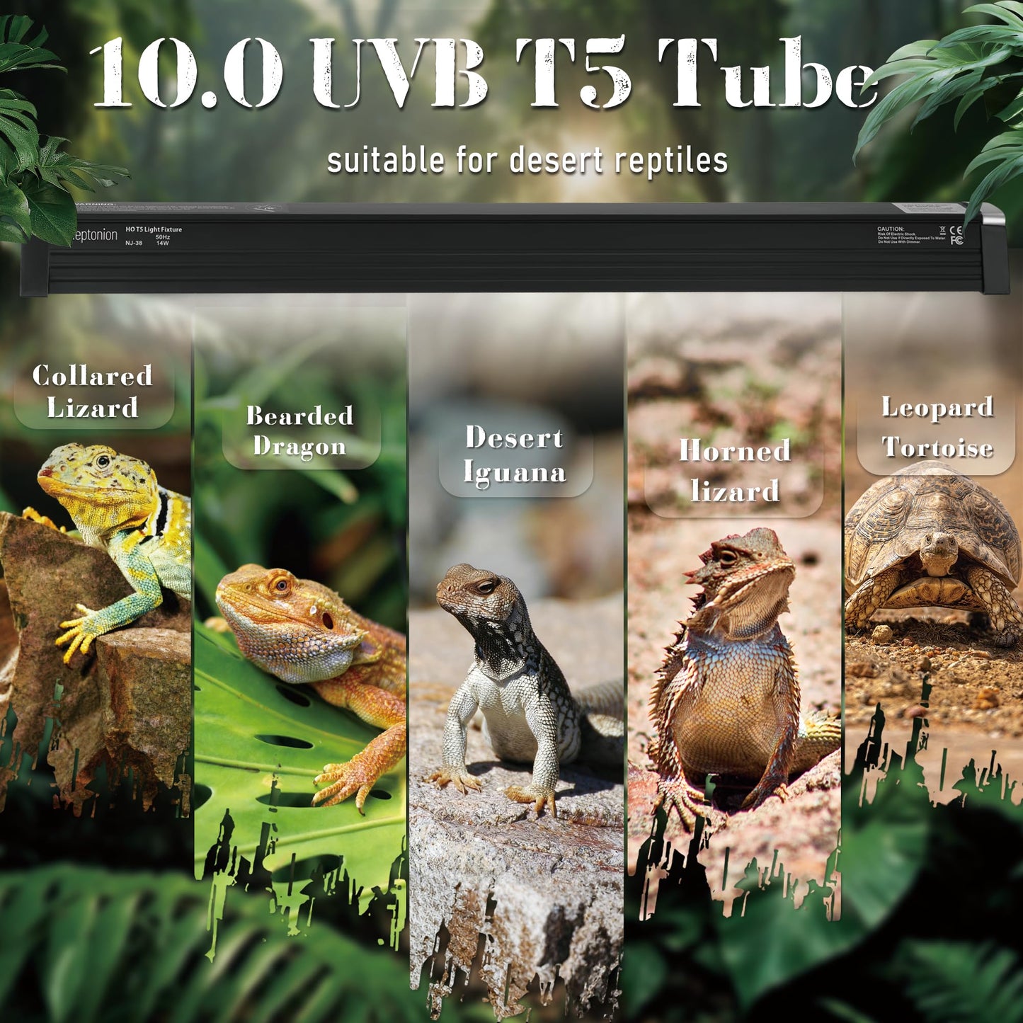 T5 Reptile UVB Light 22.7 Inches Fixture with UVB 10.0 Bulb – NEPTONION High Output Hood for Terrariums, Basking Reptiles, Lizards, Chameleons, Iguanas, Bearded Dragons, 14W