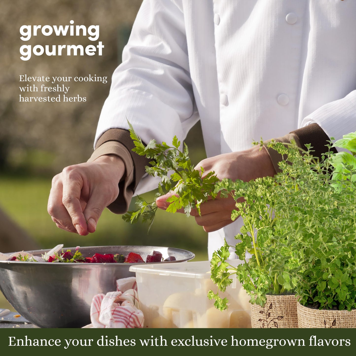 9 Herb Indoor Window Garden Kit - House Plants Seeds - Best Unique Gift Ideas for Women, Mom, Friend, Her, Birthday, Housewarming, Mother - New Home Kitchen Gifts - Live Plant Starter (Burlap Pots)