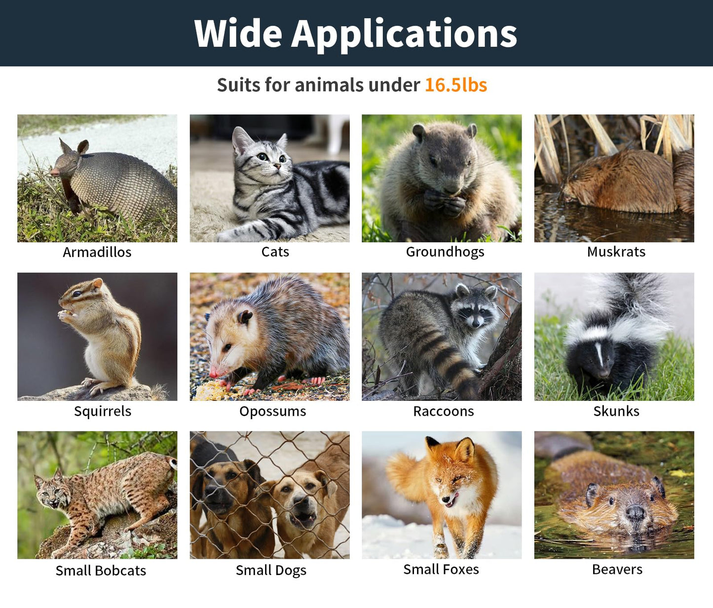 32" Live Animal Trap,Humane Live Animal cage Trap for Squirrels,Small Stray Cats,Rabbits