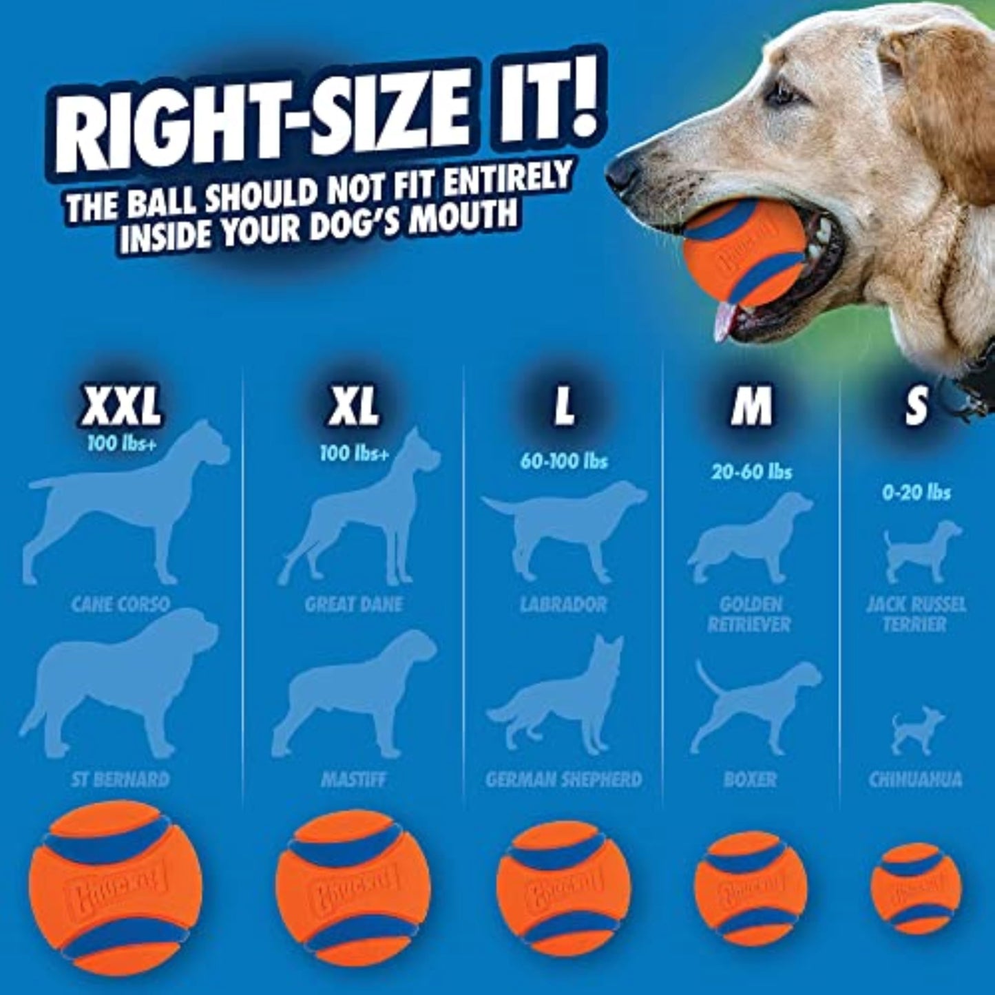 Chuckit! Ultra Ball Fetch Toy for Dogs, Medium Size 8 Pack with Cleaning Bucket