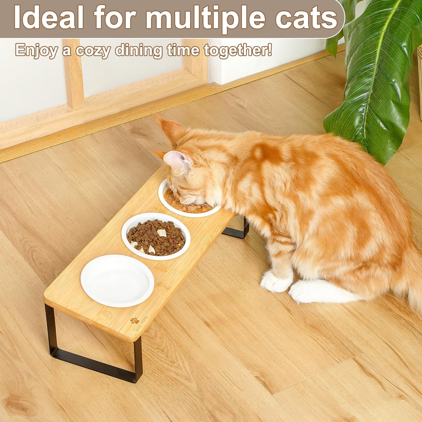 Sunhoo Elevated Cat Food Bowl Raised Kitty Dish Ceramic Tilted Pet Bowls Set of 3 Indoor Cats Dishes Dia 4.7in/12cm Anti Vomiting with Natural Bamboo Stand Gamelle Pour Chat