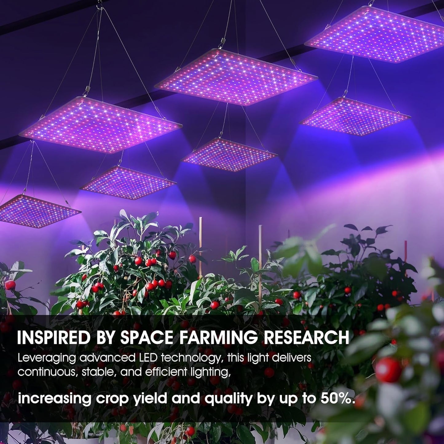 Aokrice LED Grow Light Panel 200W Lamp for Indoor Plants, Full Spectrum with White Blue Red UV IR LEDs for 4x4ft Coverage Grow Tent Greenhouse Veg and Bloom Seedlings Hydroponics (2 Pack)