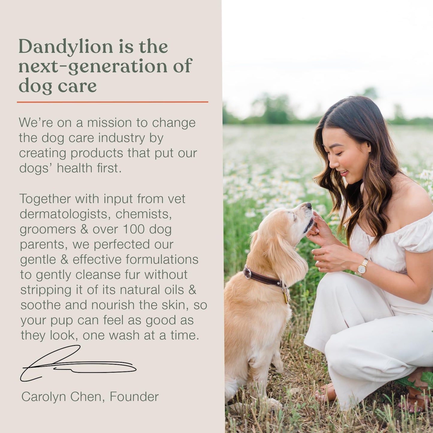 Dandylion Clean Paws Refill | Dog Paw Cleaner & Washer for Muddy Paws | No-Rinse Foaming Cleanser | Gentle, Fragrance-Free, pH Balanced & Safe for Small & Large Dogs | Refill Bottle | 10 fl oz