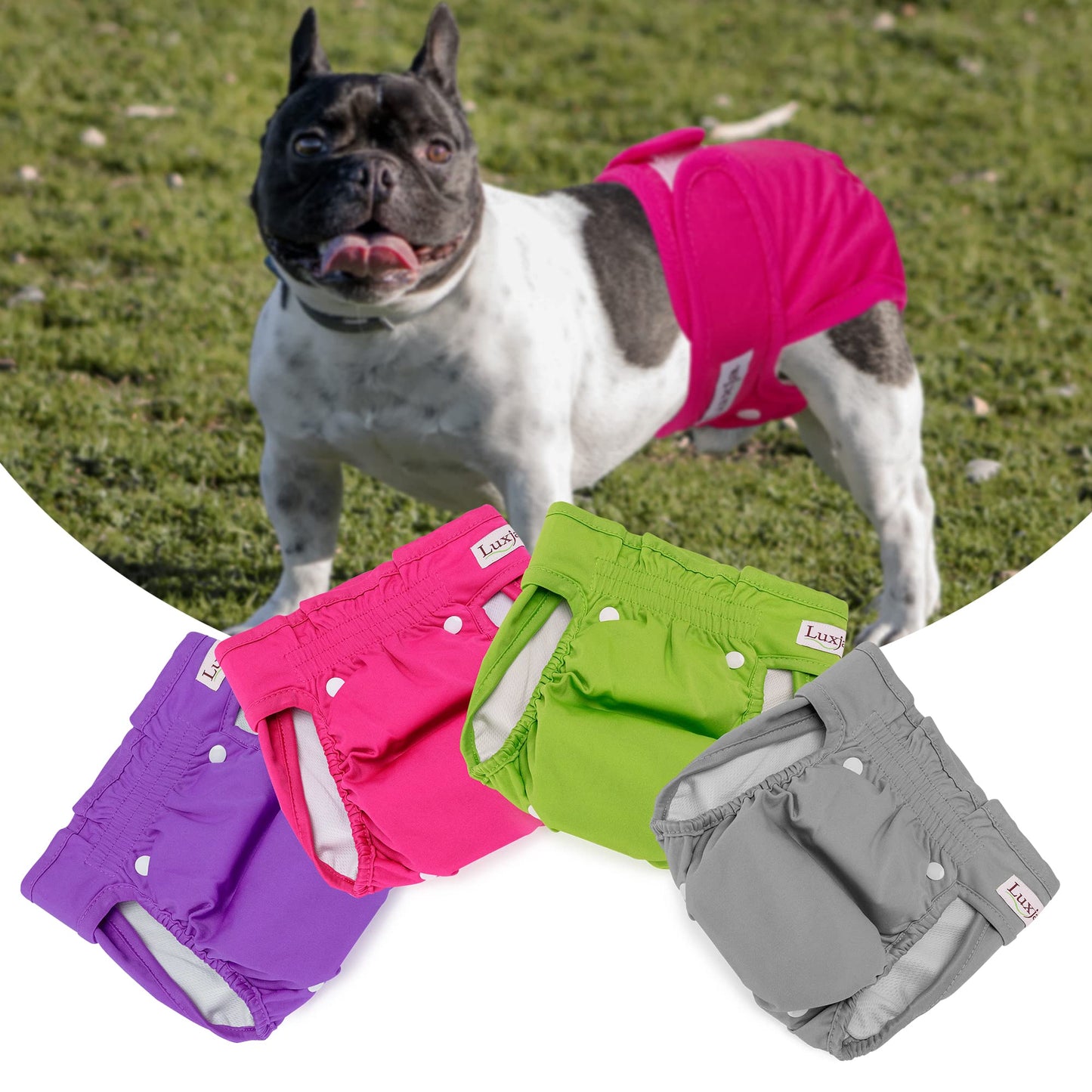 Luxja Reusable Female Dog Diapers with Detachable Diaper Pads (Pack of 4), Washable Dog Wraps Hygiene Nappies for Female Dog,(Gray + Green + Purple + Rose Red), L2