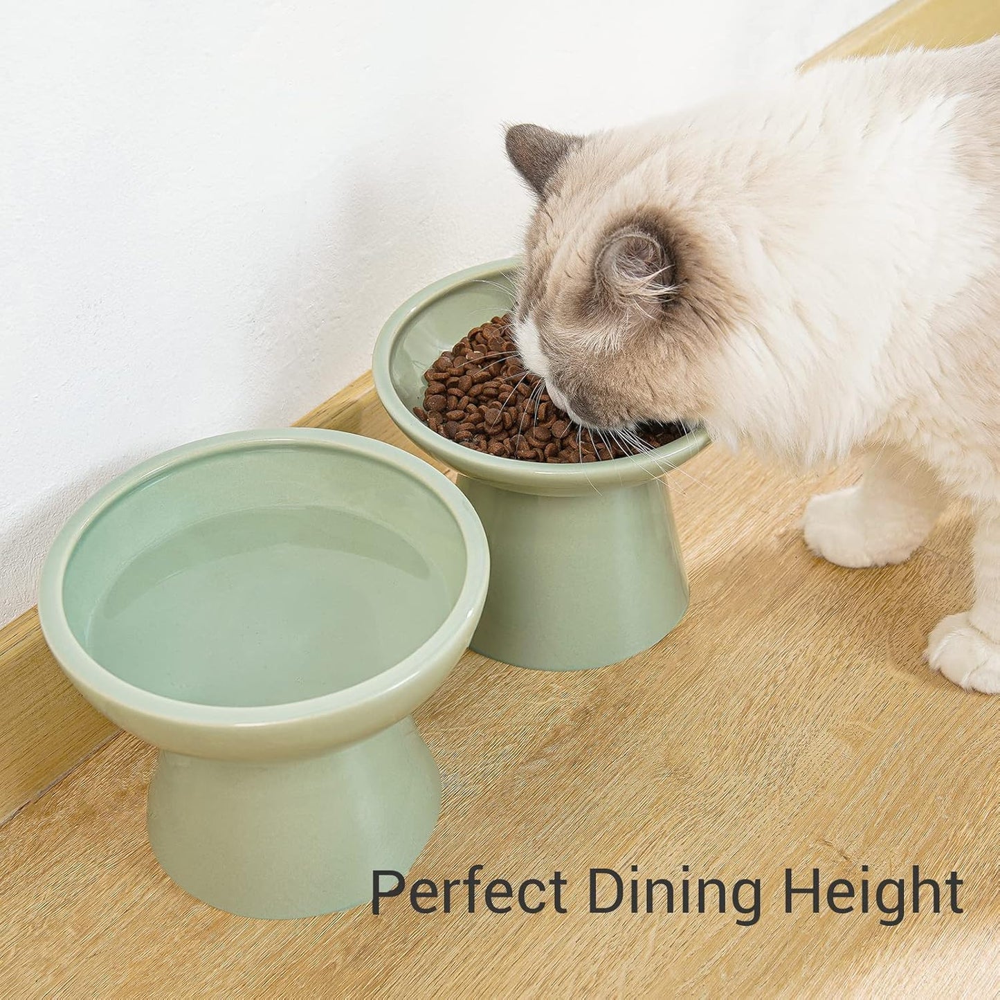 CEEFU 2 Extra Wide Elevated Cat Food Bowl, Ceramic Cat Bowls for Food and Water, Wide Shallow Cat Food Dish, Whisker Fatigue, Lead & Cadmium Free, Great Height for Cat