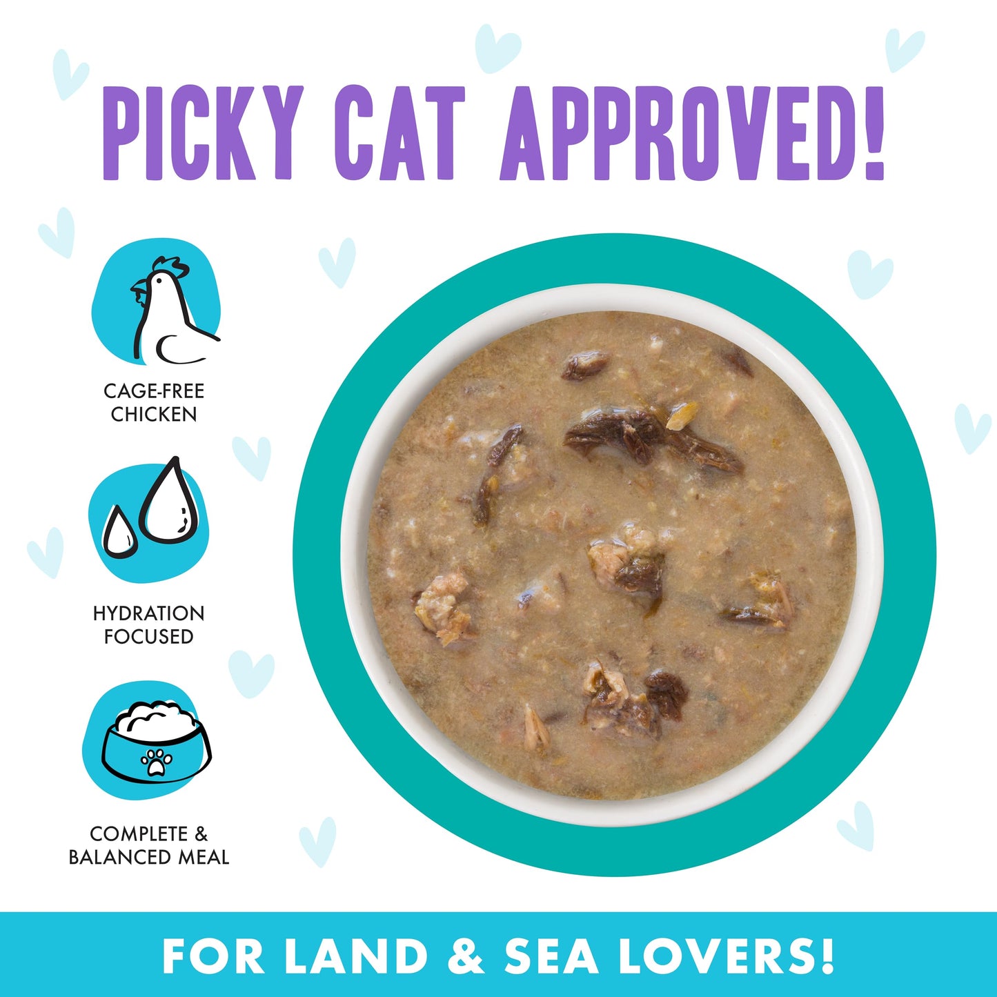 B.F.F. OMG - Best Feline Friend Oh My Gravy!, QT Patootie! with Chicken & Turkey in Gravy Cat Food by Weruva, 2.8oz Can (Pack of 12)