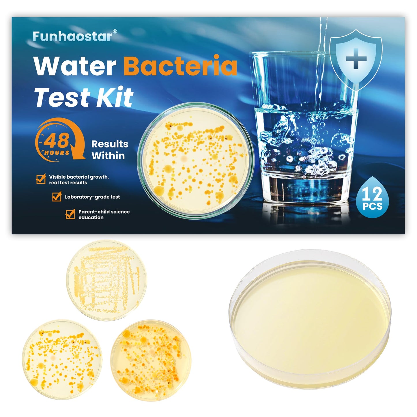 Bacteria Test Kits for Drinking Water - 12 Tests Detect Coliform, E.coli & All Bacteria | Home Quality Testing Kit for Well, Tap, Pool, Hot Tub & City Water | Easy DIY Tester with Free Lab Analysis