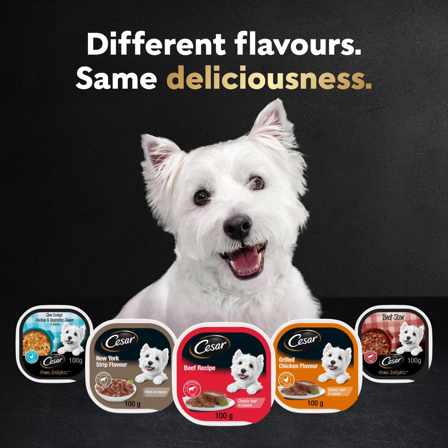 CESAR Home Delights Wet Dog Food - Pot Roast with Spring Vegetables Dinner in Sauce - 100g (24 Pack)