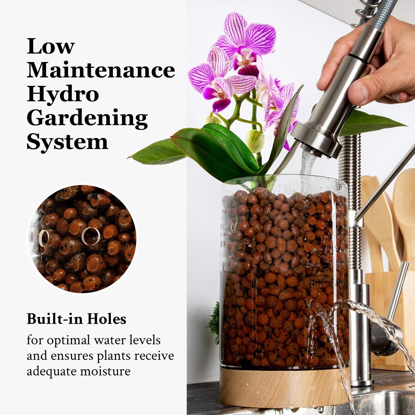 Pot & Pebble - C1 Glass Planter with Wooden Base - Plant Propagation Station with Holes for Water Level Control - Plant Cutting Holder for LECA Clay Pebbles/Similar Media - Semi Hydroponic Planter