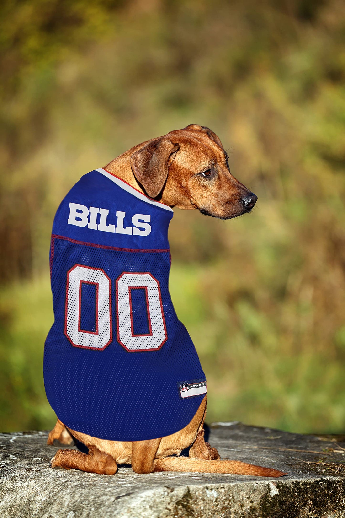NFL Buffalo Bills Dog Jersey - XX-Large, Football Jersey Costume for Dogs