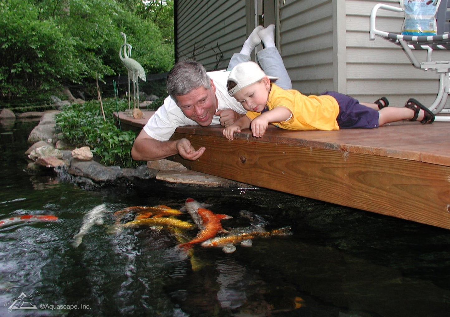 Aquascape Premium Cold Water Fish Food Pellets for Large Koi and Pond Fish, Large Pellet, 4.4 Pounds | 98872