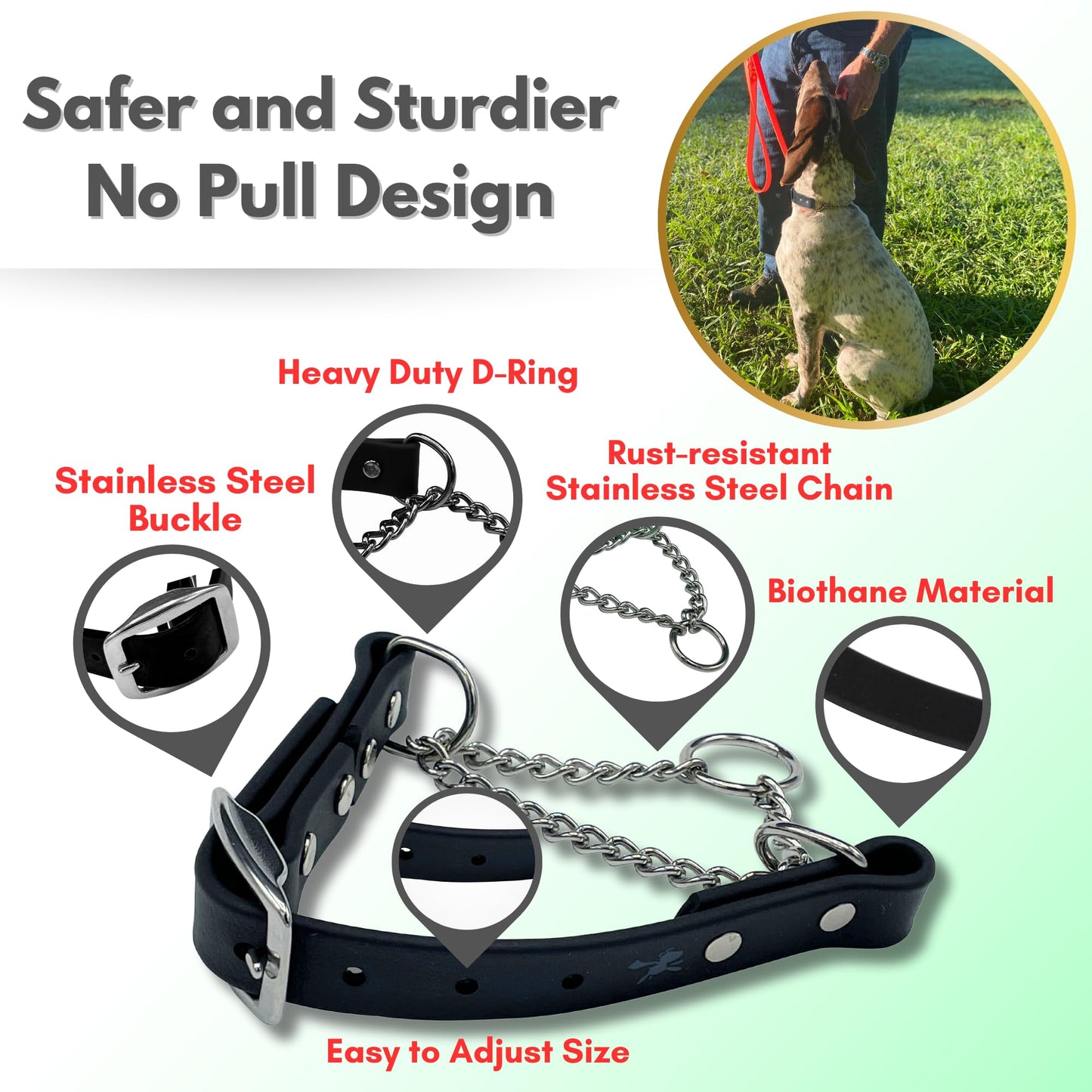 JIM HODGES DOG TRAINING Martingale Collar for Dogs, Biothane, Stainless Steel Hardware, No Pull, Made in The USA, Professional Grade. Large, Black