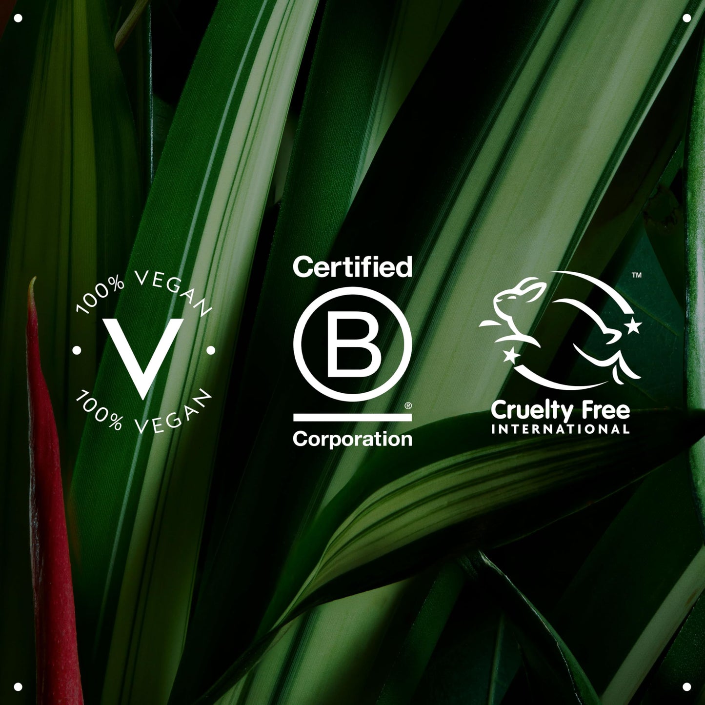 Aveda Botanical Kinetics Hydrating Lotion | Daily Facial Moisturizer for All Skin Types | with Coconut, Jojoba, Caffeine, Aloe, 150ml