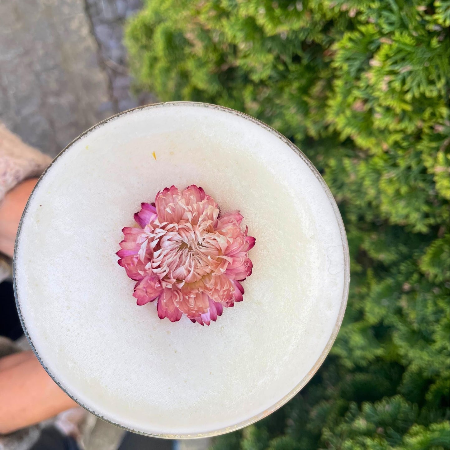 Edible Dried Mixed Flowers | 100% Natural & Edible | 50+ Flowers | Flowers for Garnishing Cocktails, Cake Decoration, Tea Infusions | 50G,1.76 Oz| Chrysanthemum Flowers | PETJar | Drink Botanicals