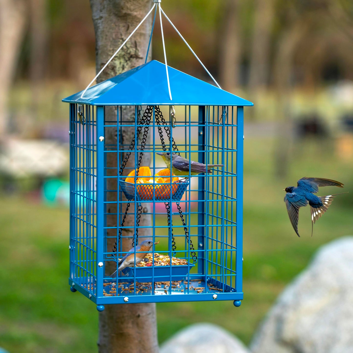 Mealworms Bird Feeders for Bluebirds - Metal - Huge Caged Squirrel-proof Bird Feeders with 2 Cups, DIY Wild Bird Feeders Outdoor Hanging (Blue), Attract Small Birds, 2lbs Seed Capacity+1 Mealworms Cup