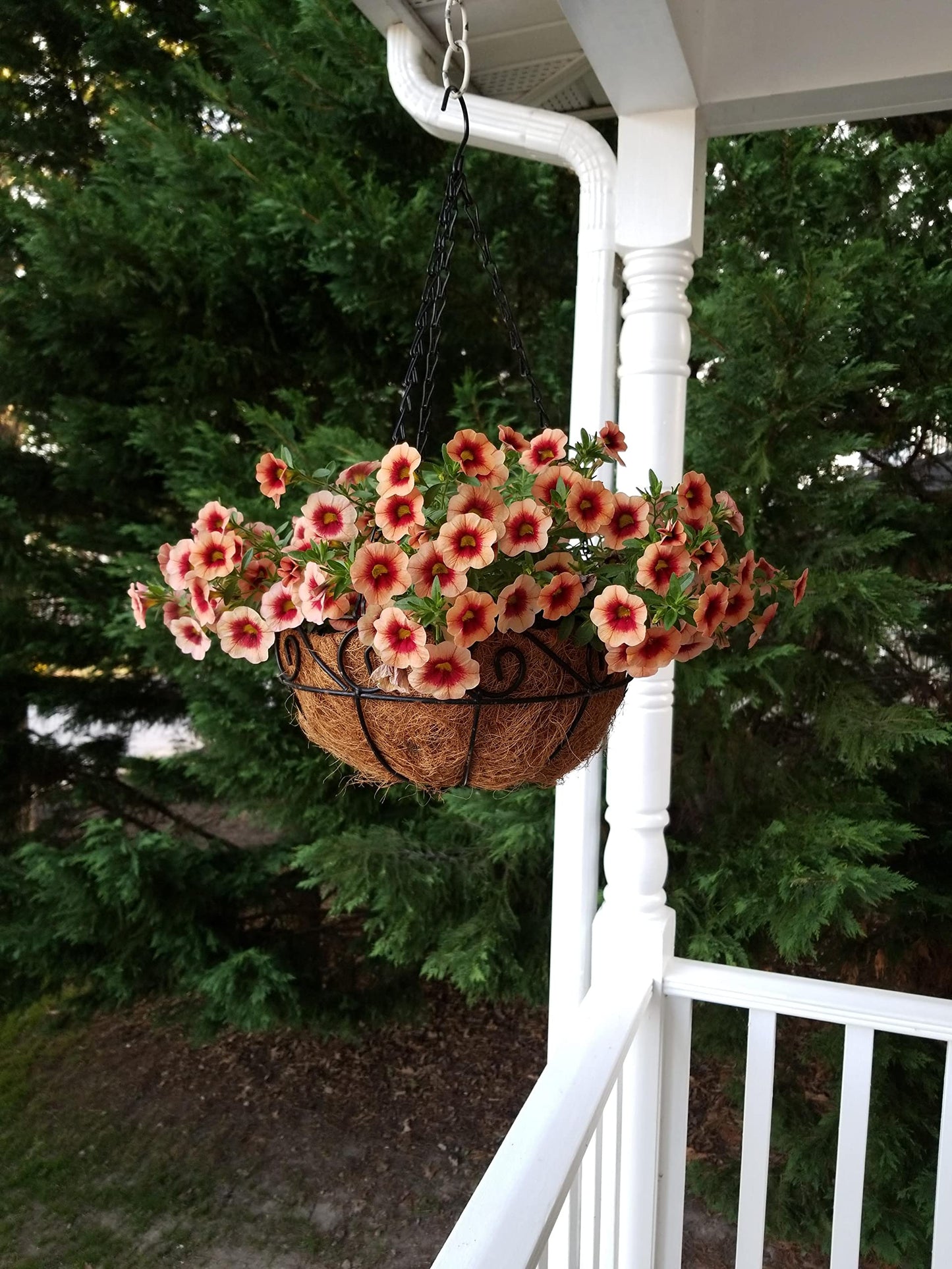 Tingmei 18 Inch Replacement Coco Liners for Hanging Basket(2 Pieces of Pack)