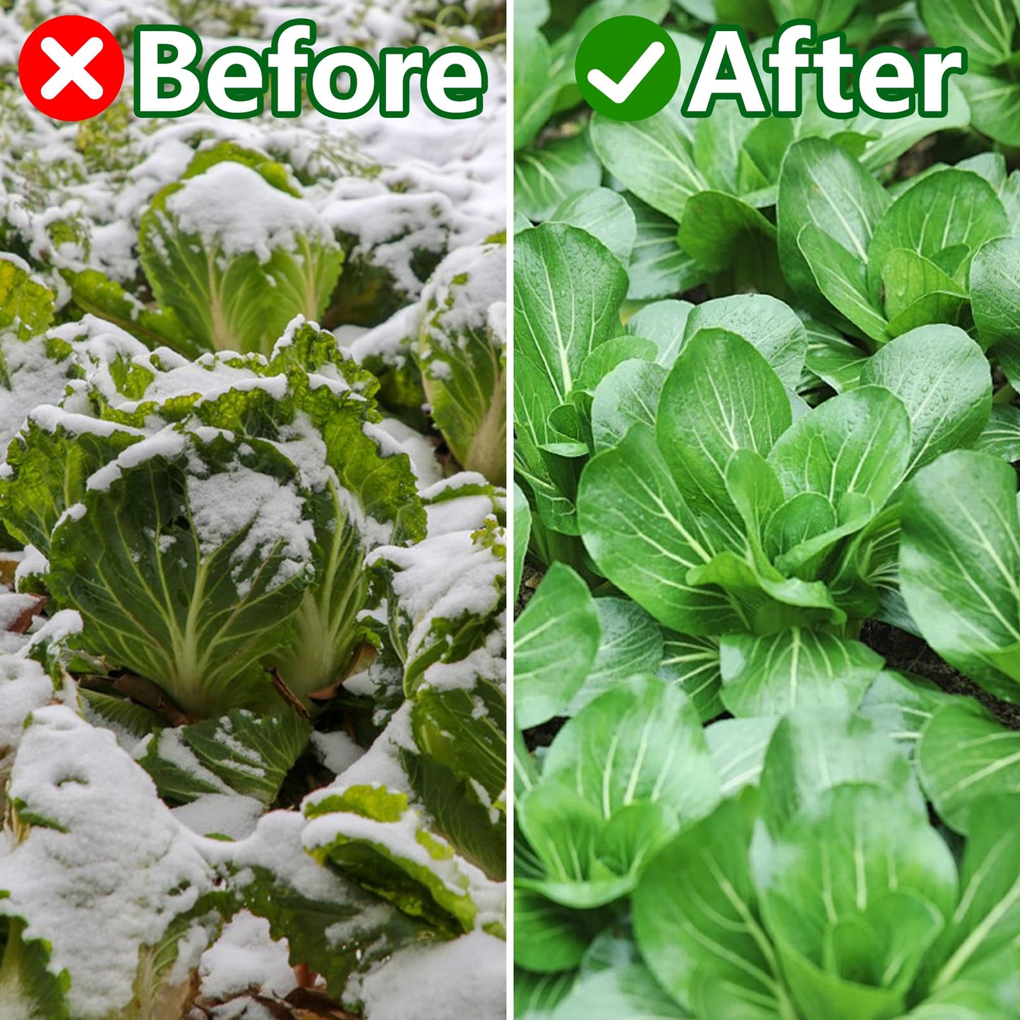 8x25ft Greenhouse Film Sheeting - Thickened Greenhouse Plastic Transparent Film - Clear Polyethylene Garden Film Cover for Farm Garden Vegetables Plants Flower