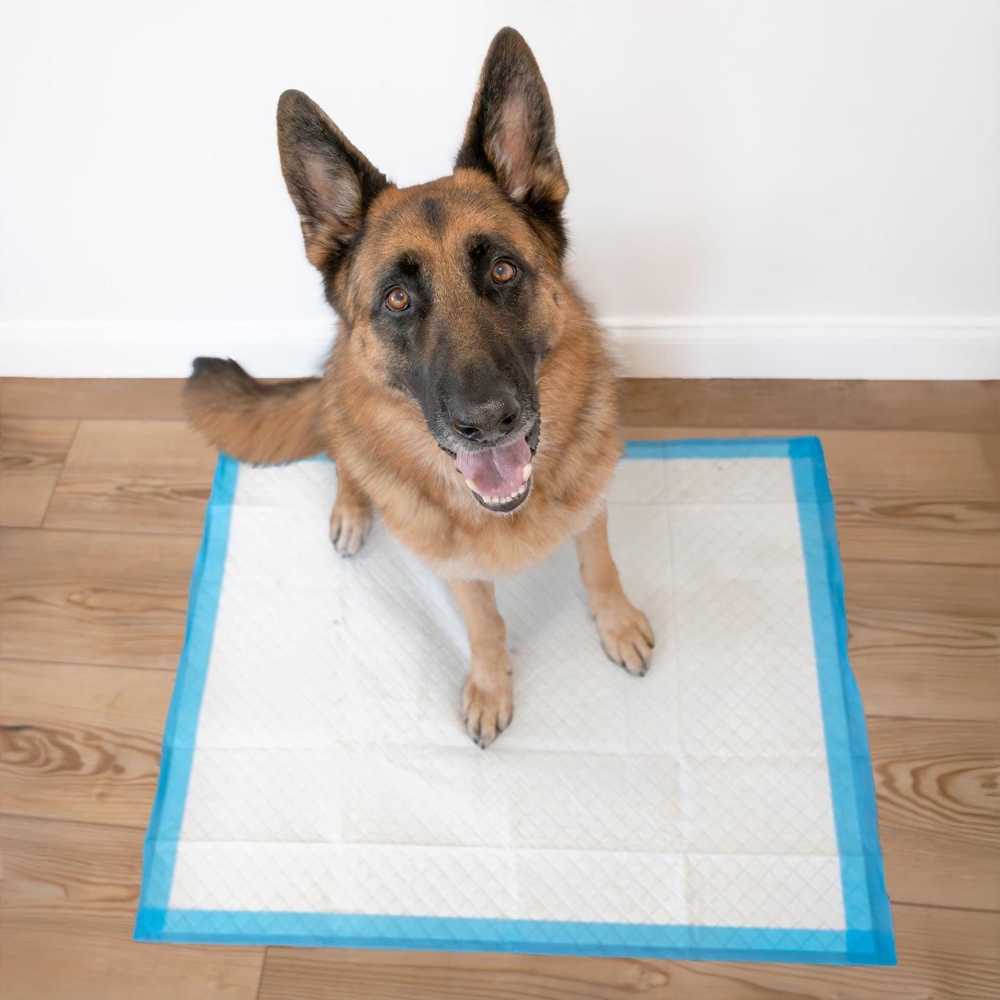 Wee Wee Dog Pee Pads Extra Large | 40 Count | Puppy Training Pee Pads for Dogs | XL Size