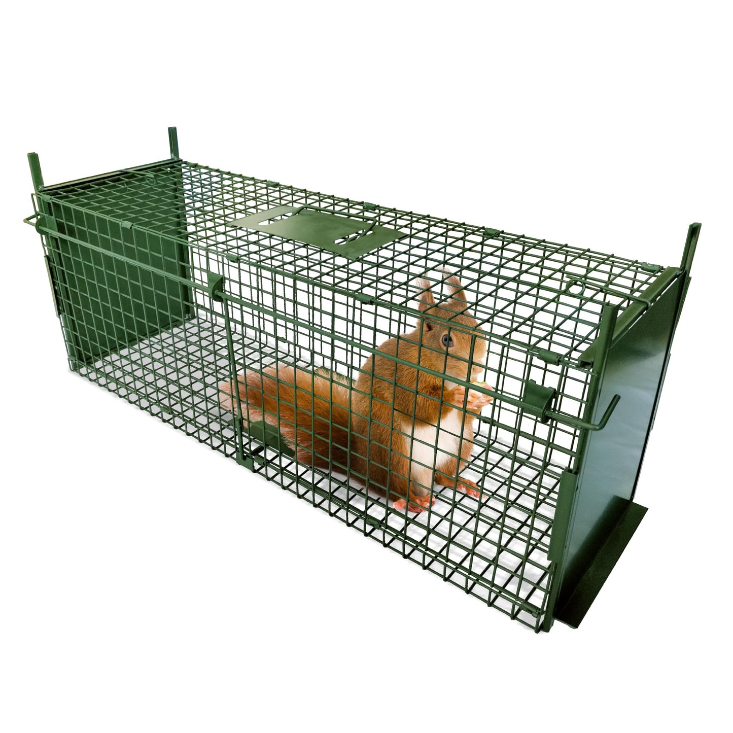 ARIFARO Animal Cage Trap (31" L x 10" W x 11" H) Humane Live Cage Trap Double-Door Metal Capture Cage for Skunks,Raccoons,Rabbits,Stray Cats,Squirrels,Moles,Gophers