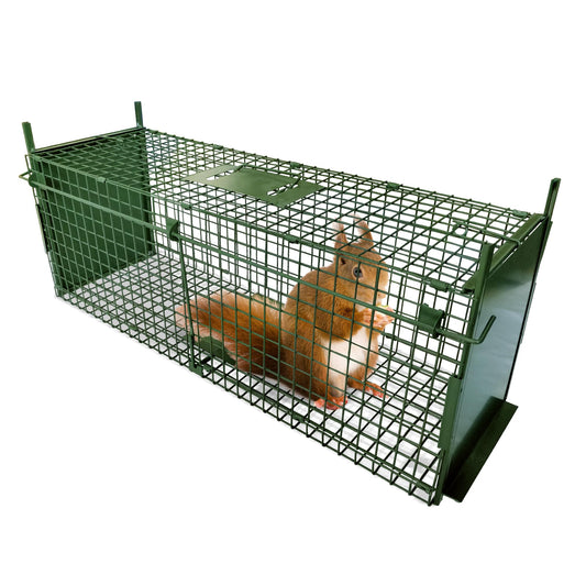 ARIFARO Animal Cage Trap (31" L x 10" W x 11" H) Humane Live Cage Trap Double-Door Metal Capture Cage for Skunks,Raccoons,Rabbits,Stray Cats,Squirrels,Moles,Gophers