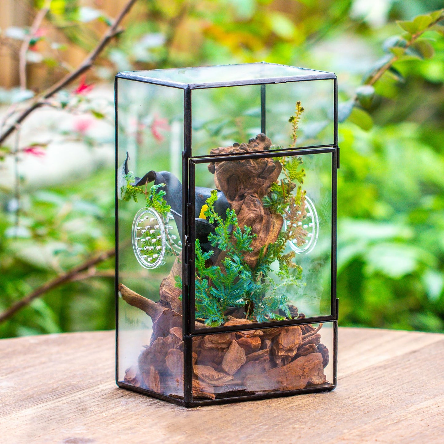 NCYP Glass Enclosure with Door and Vent Holes for Large Jumping Spider - 13 x 10 x 23 cm Front Opening Rectangle Black Terrarium - Holes Diameter 0.3cm (Terrarium Only)