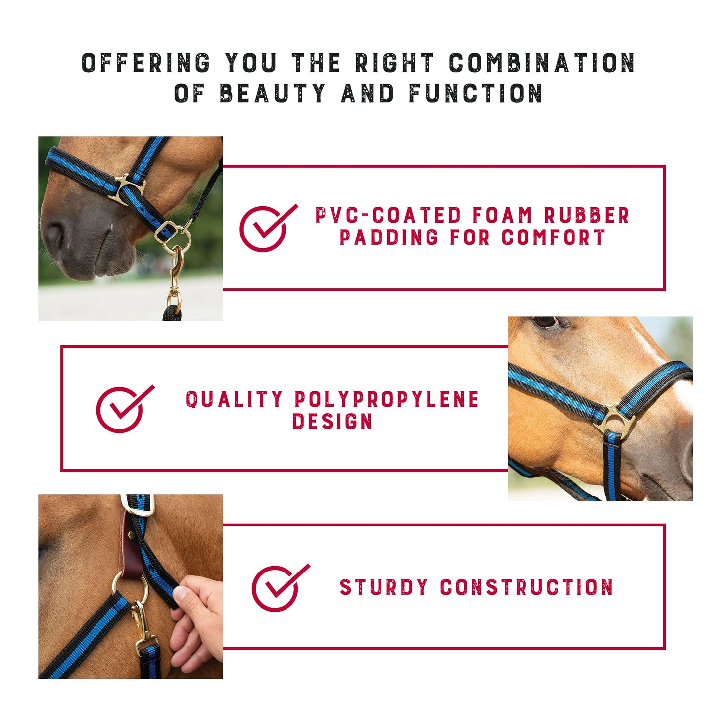 Weaver Equine Breakaway Horse Halter, Comfort Foam Padding, Adjustable Chin & Throat Snap Halters for Horses, Equine Tack,Average Size, Blue