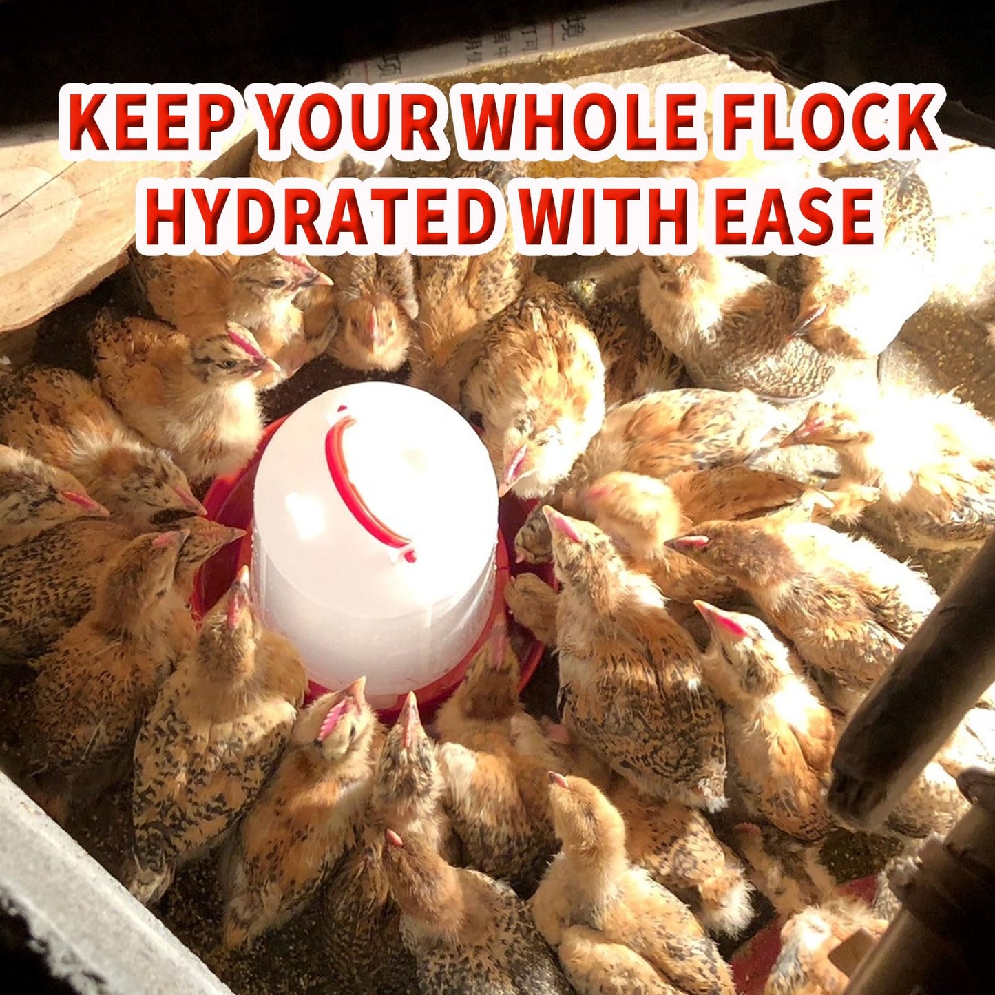 2 Pack 4L Chicken Waterer Feeder – Large Capacity Poultry Drinker Set for Chicks, Ducks, Turkeys | Plastic Water Dispenser Container for Coop