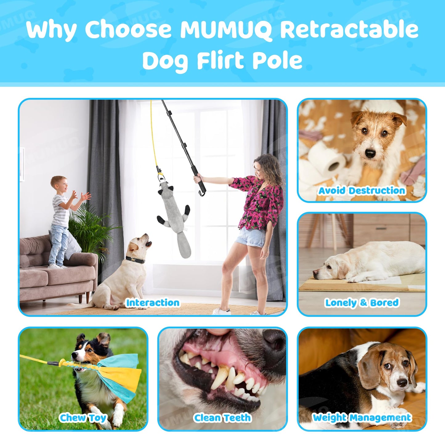 Flirt Pole for Dogs, Retractable Teasing Stick with Lure, Interactive Dog Toys for Outdoor Training Play Exercise, 40 Inch Flirt Stick for Dog Agility Training Equipment