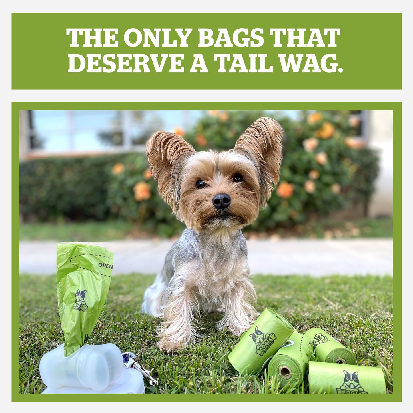 Pogi's Compostable Poop Bags – Leak-Proof, Extra-Large, Plant-Based, Home Compostable – 32 Rolls (480 Bags)
