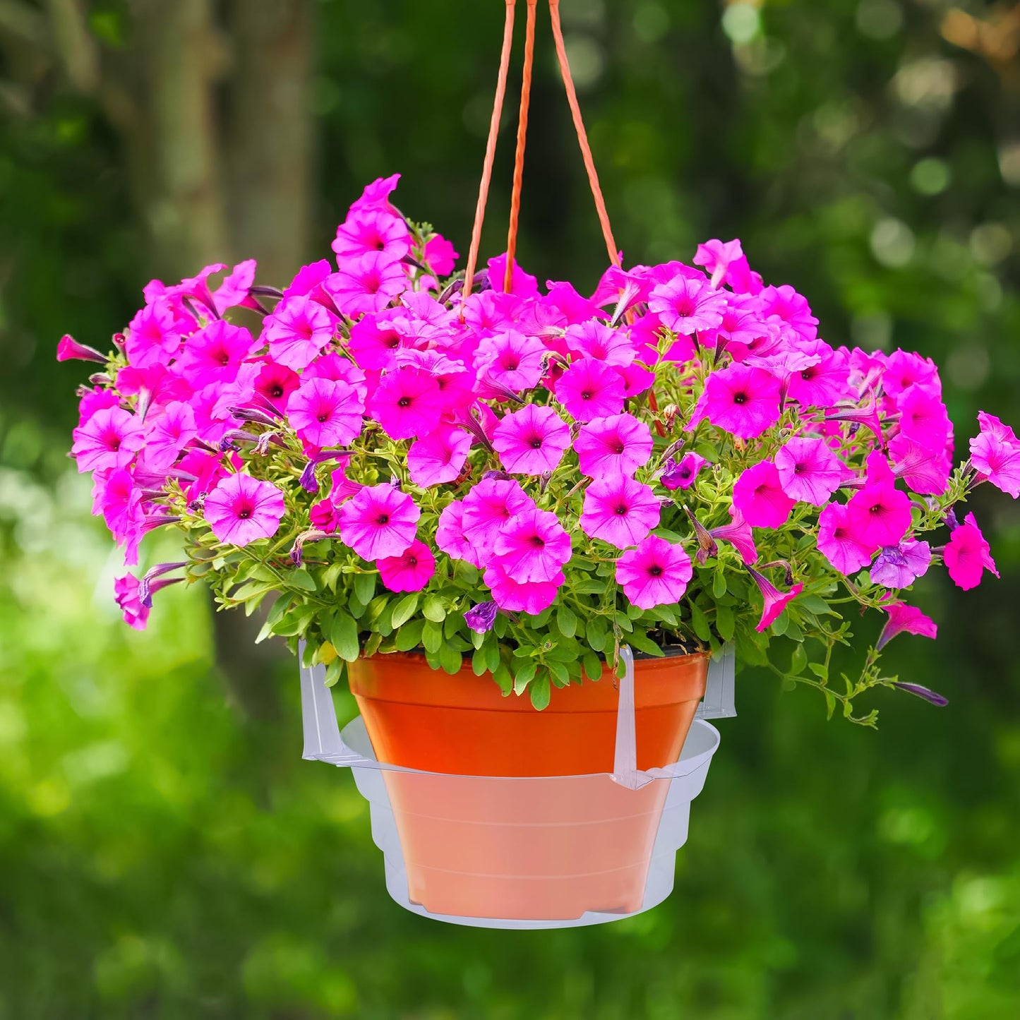 Adnee 12 Pcs 12 Inch Hanging Plant Water Catcher-Clear Plastics Plant Water Catcher Tray-Hanging Plant Saucers Drip Pans for Indoor Outdoor Hanging Basket Flower Pot