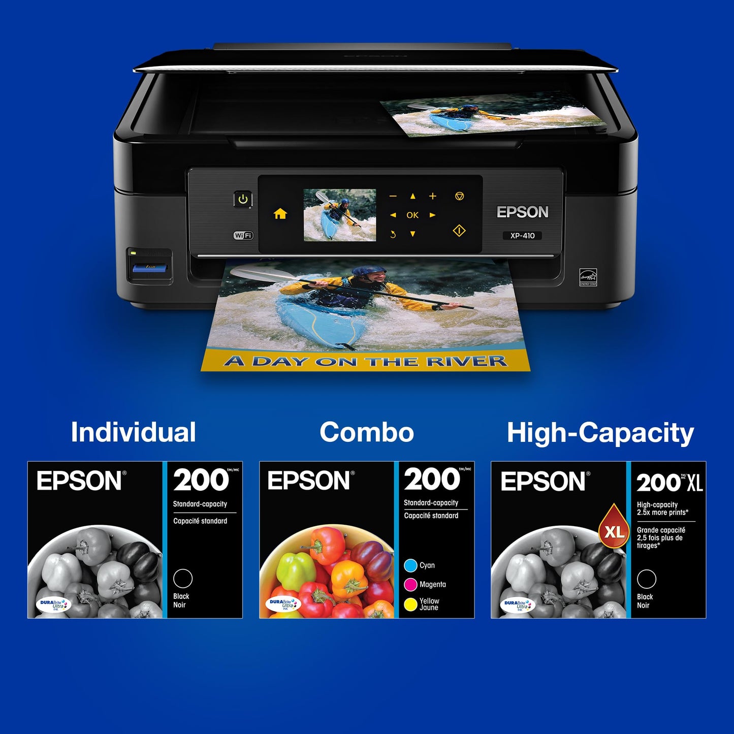 EPSON 200 DURABrite Ultra Ink Standard Capacity Black Dual Cartridge Pack (T200120-D2) Works with Workforce WF-2520, 2530, 2540, Expression XP-200, 300, 310, 400, 410
