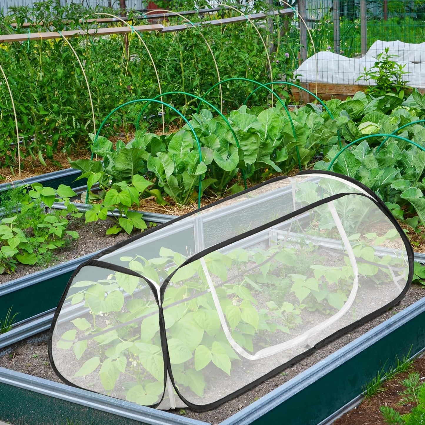 2 Pcs 45x22x16 Garden Row Accelerator Plants Cover - Pop Up Raised Garden Bed Vegetable Rows Plant Protector,Insect Bird Barrier Net Cage with Stakes for Protecting Seedlings Fruits Vegetable Row