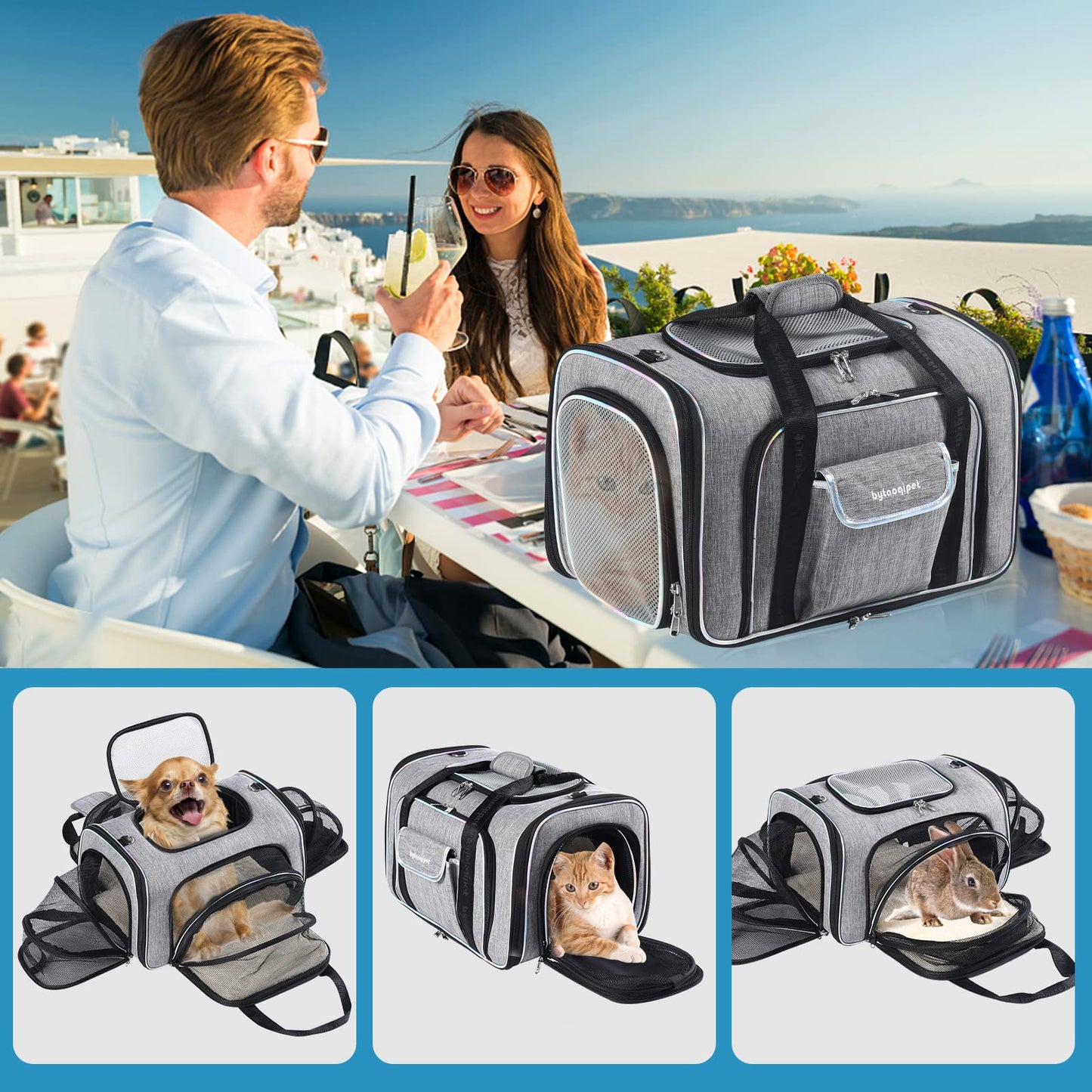 Cat Travel Bag 4 Sides Expandable Pet Carrier Airline Approved Folding Soft Sided Transport Tote Bag for cat