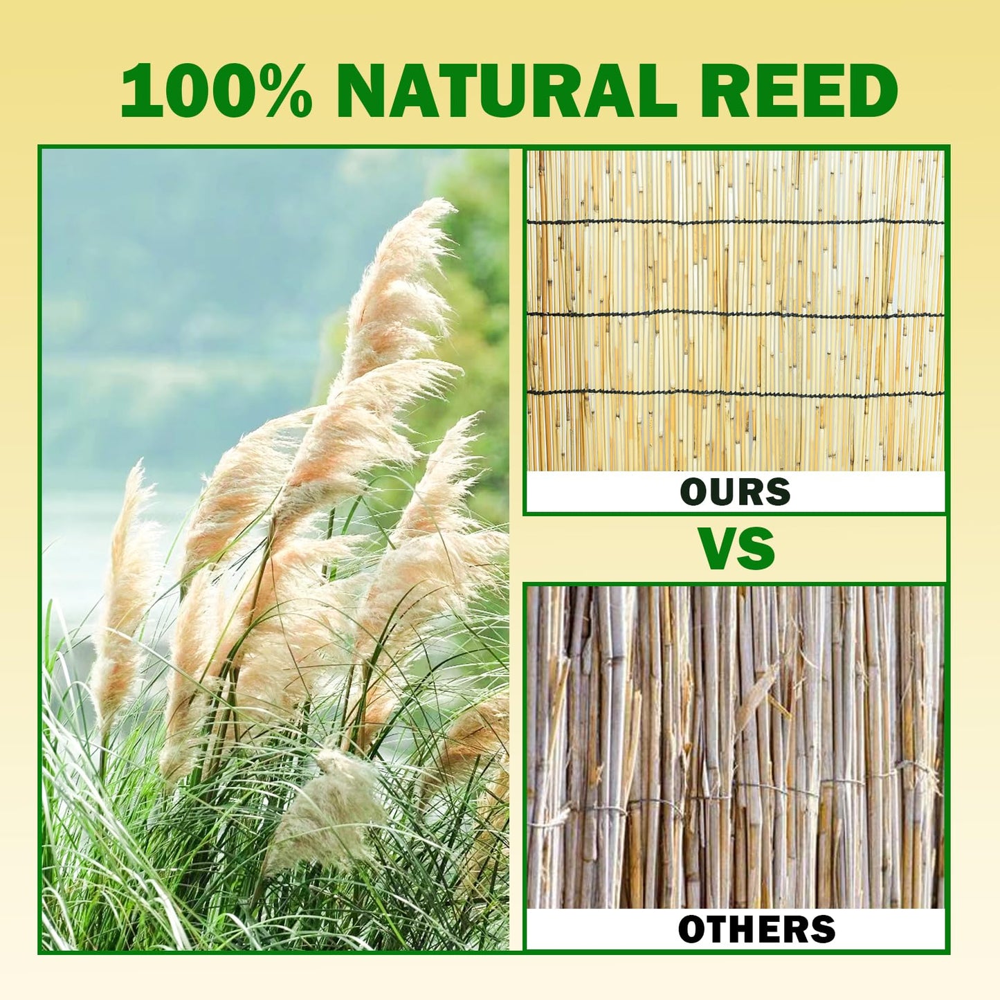 Jollybower Natural Reed Fencing Rolls, Eco-Friendly Reed Fence Curtain, 4Ft High x 13Ft Long Reed Screen, Decorative Fence for Garden, Balcony, Window Privacy（Pack of 1）