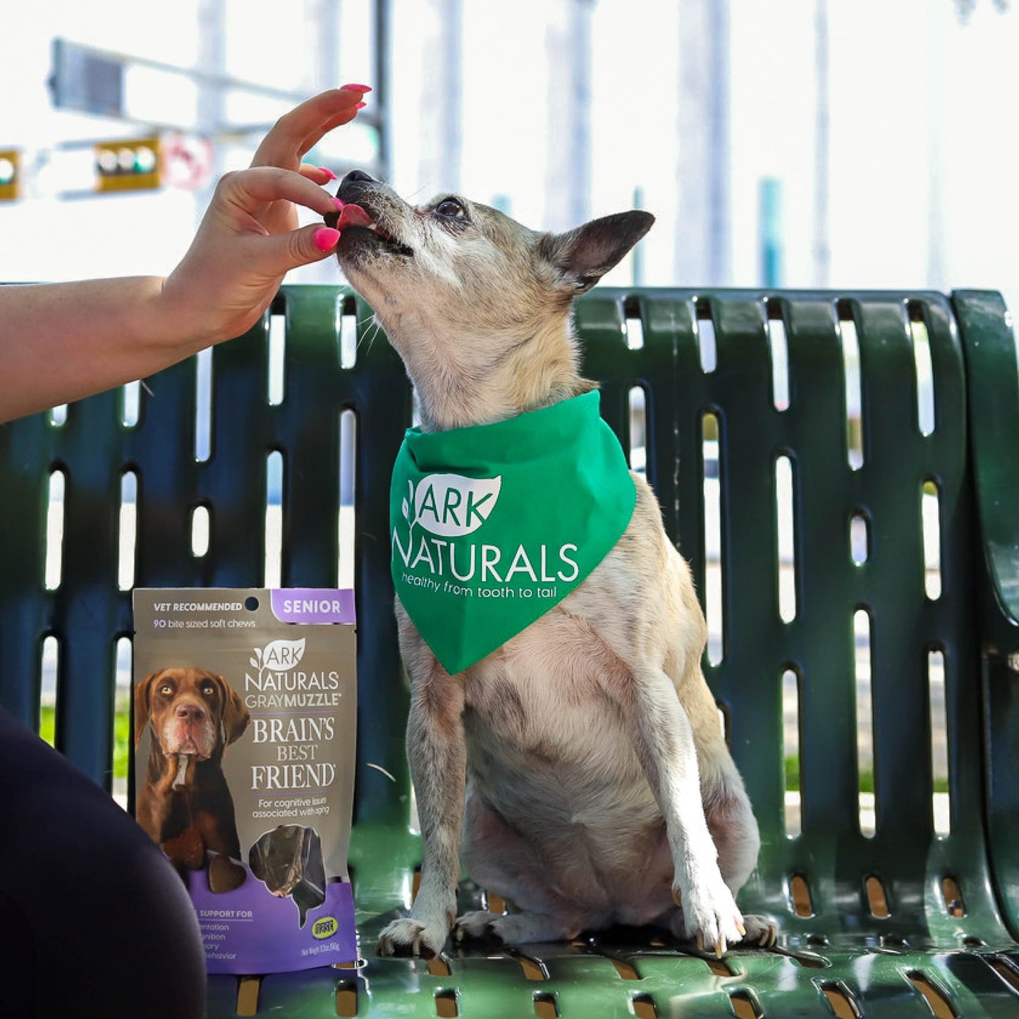 Ark Naturals Gray Muzzle Brain's Best Friend Dog Chews for Senior Dogs, Supports Cognitive Health and Enhances Brain Retention, Functional Natural Ingredients, 90 Count