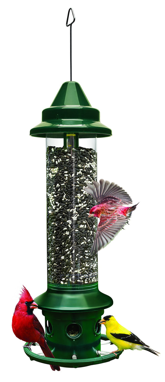 Brome 1024 Squirrel Buster Plus 6"x6"x28" Wild Bird Feeder with Cardinal Perch Ring and 6 Feeding Ports, 3qt/5.1lb Seed Capacity