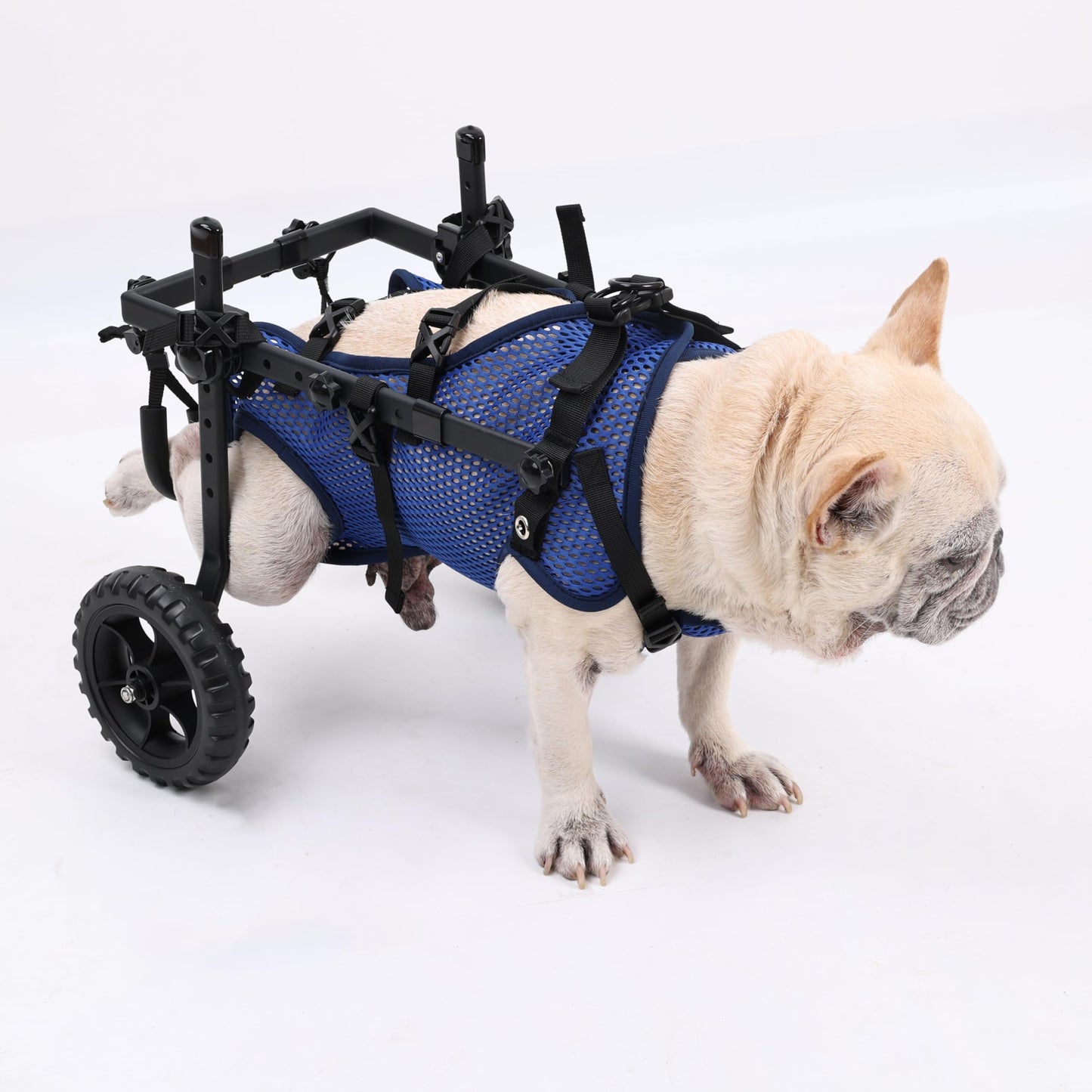 KAJILE Folding and Adjustable Two-Wheel Pet Pram, Wheelchair for Dogs, Rear Limb of Pet Rehabilitation,Blue,S