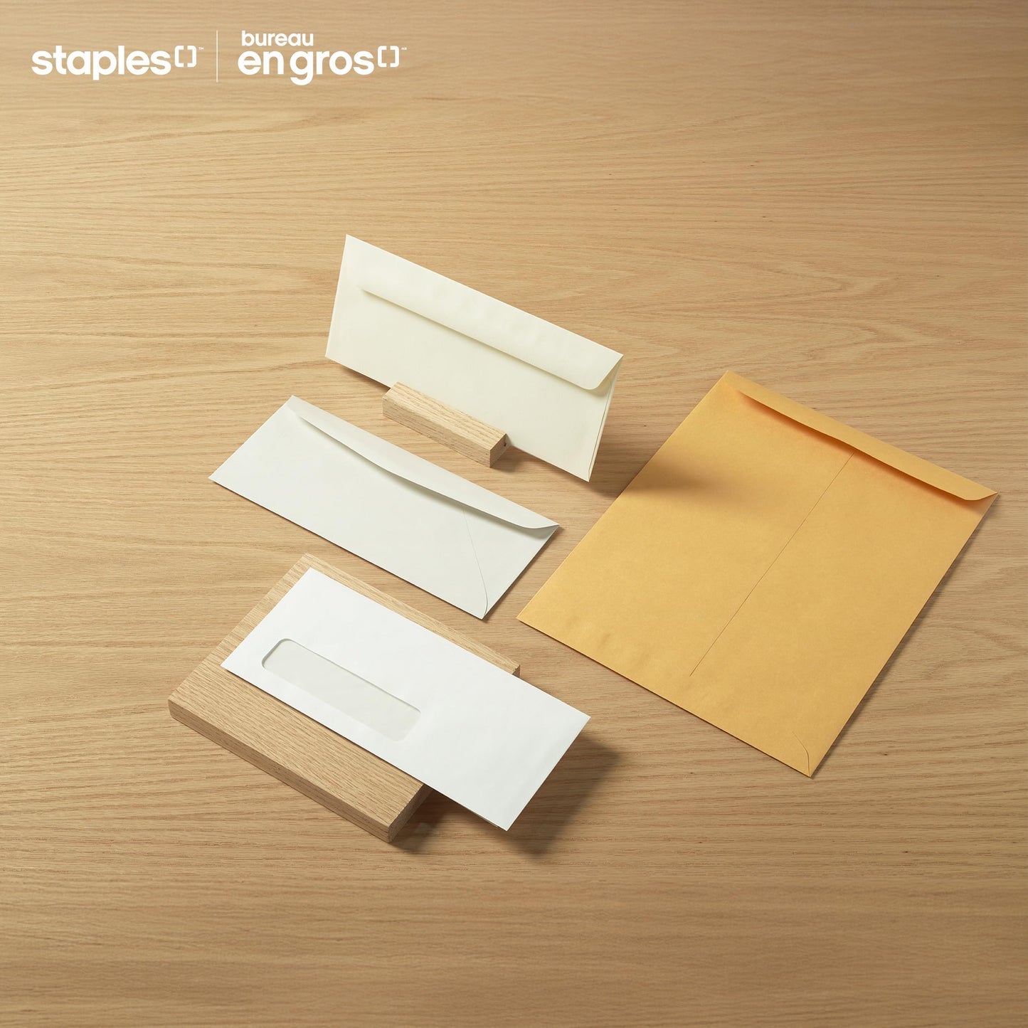 Staples Kraft Catalogue Envelopes with QuickStrip Closure - 9" x 12" - Brown - 100 Pack