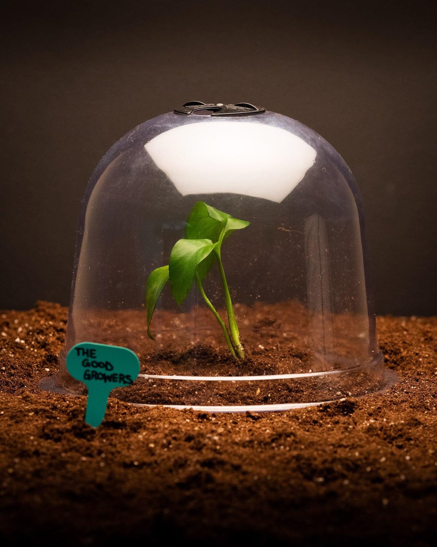 (10 Pack) The Good Growers Extra Large Plant Covers (10" x 8") with Vents - Reusable Plastic Cloche Domes for All-Weather & Frost Protection, Mini Greenhouse Effect & Pest Control