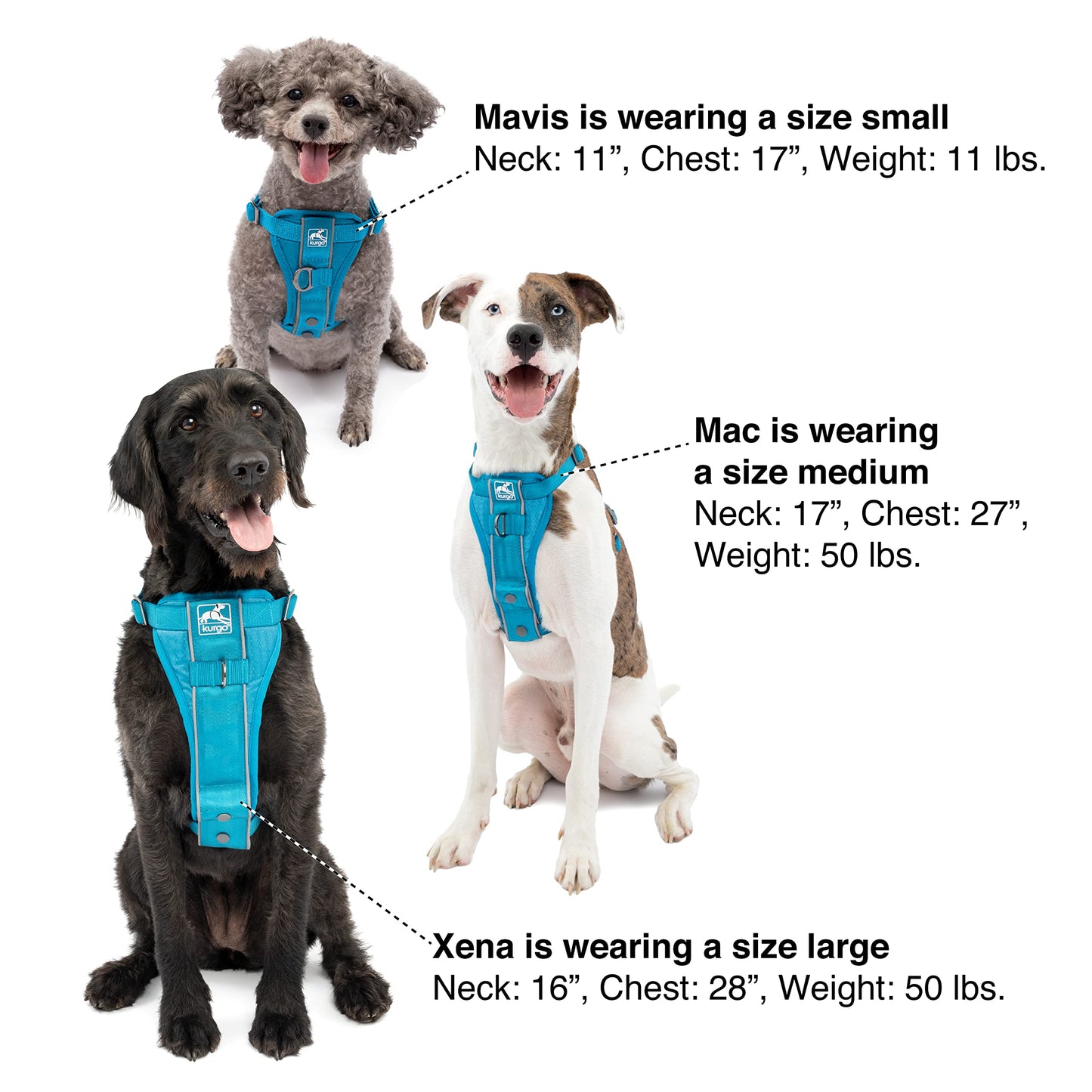 Kurgo Tru-Fit(TM) Smart Dog Harness, Black, Extra Small