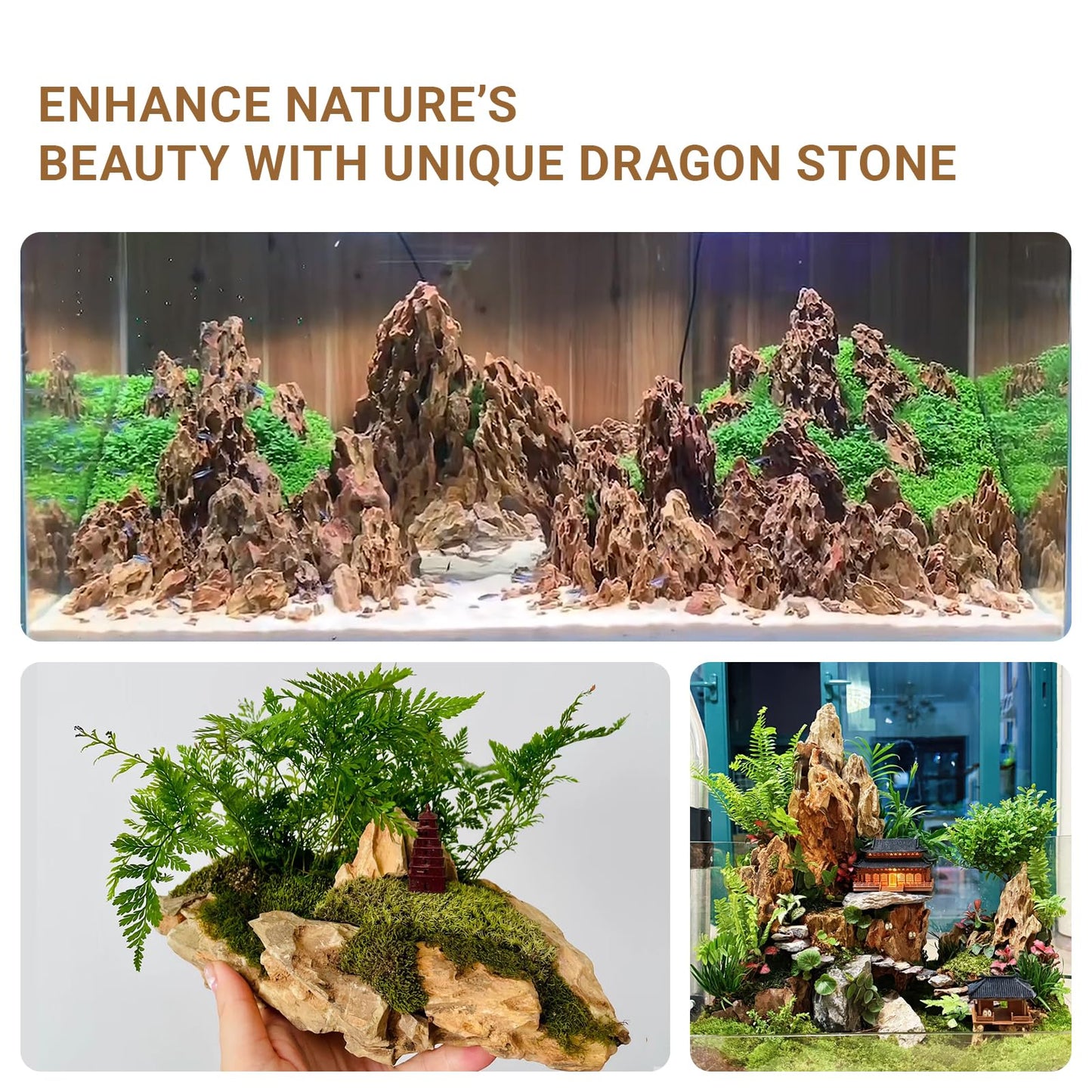 ChaoLeHo Dragon Rocks Aquariums Stones Natural Rocks for Aquascaping, Aquariums, Terrariums, Vivariums Decorative Stone,Reptile Enclosures,Paludariums,and Gardens-10LB（2 to 7 inch）