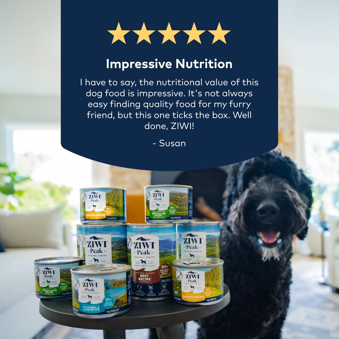 ZIWI Peak Canned Wet Dog Food – All Natural, High Protein, Grain Free, Limited Ingredient, with Superfoods (Chicken, Case of 12, 170 g Cans)