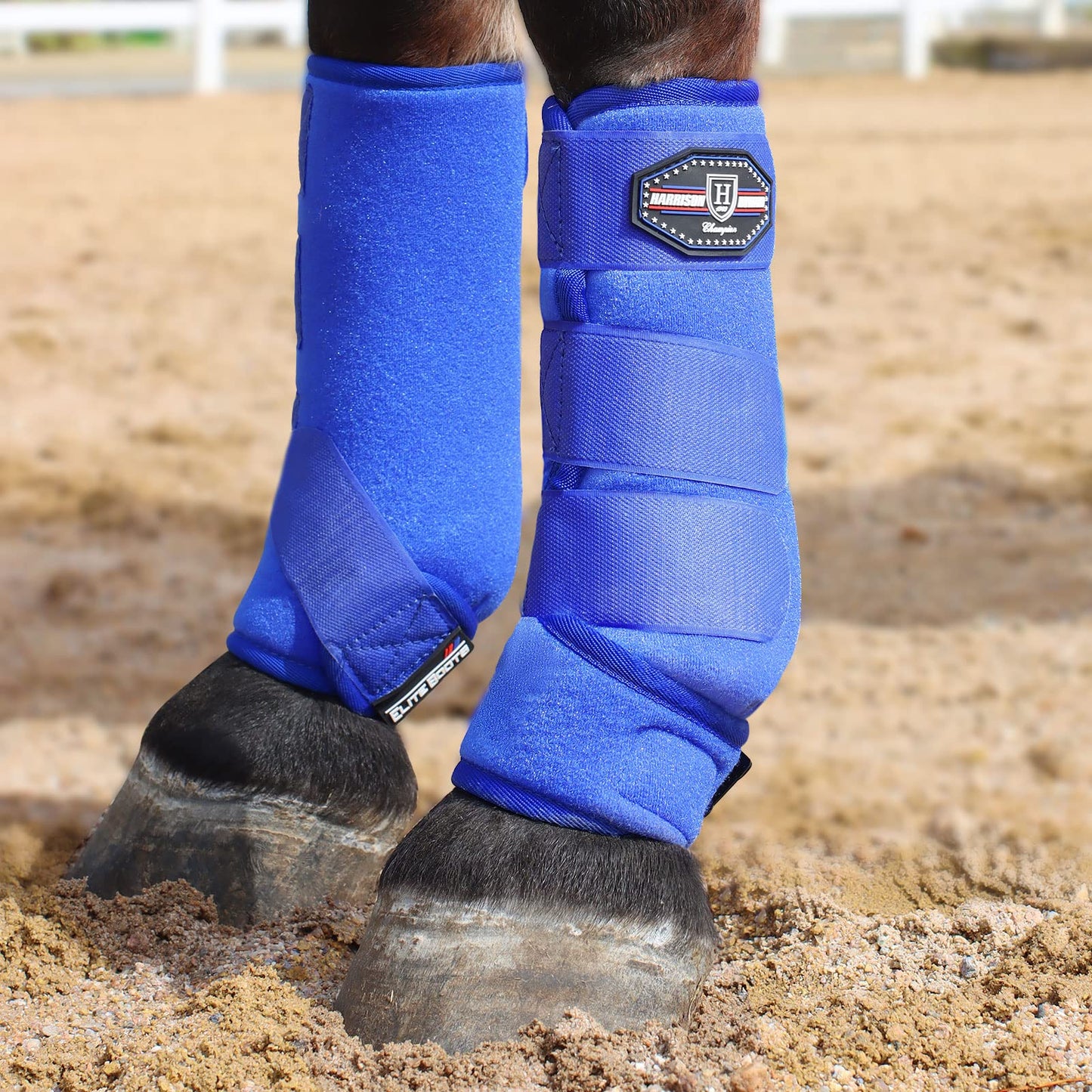 Harrison Howard Horse Sport Medicine Front Shock-Absorbing Boots All-Round Lower Limb Protection & Support Sport Boots Perfect for Endurance Training and Performance Pack of 2 Aquamarine L