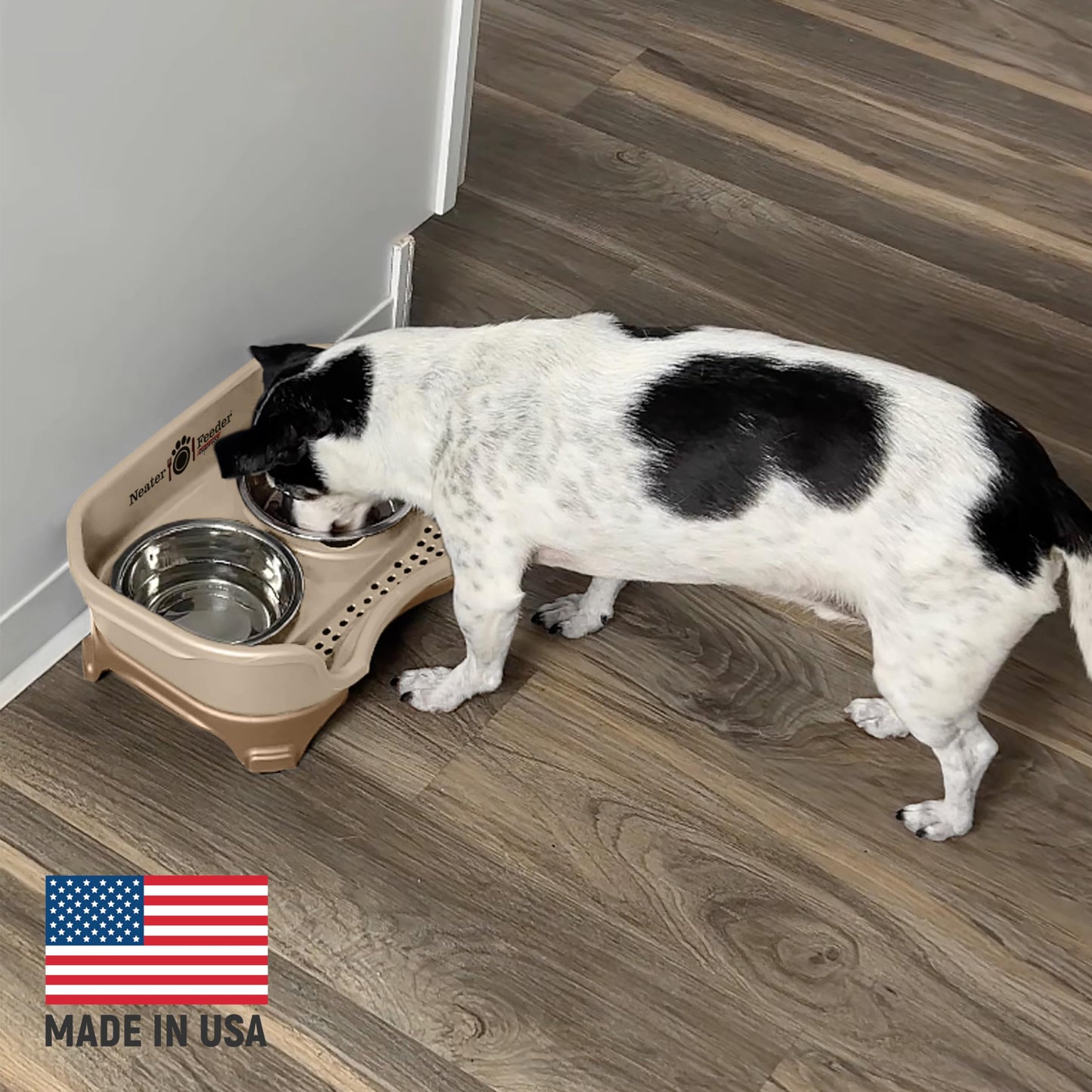 Neater Feeder - Express Model - Mess-Proof Cat & Dog Bowls – Made in USA – Elevated, No Spill, Non-Tip, Raised Stainless Steel Food & Water Bowls